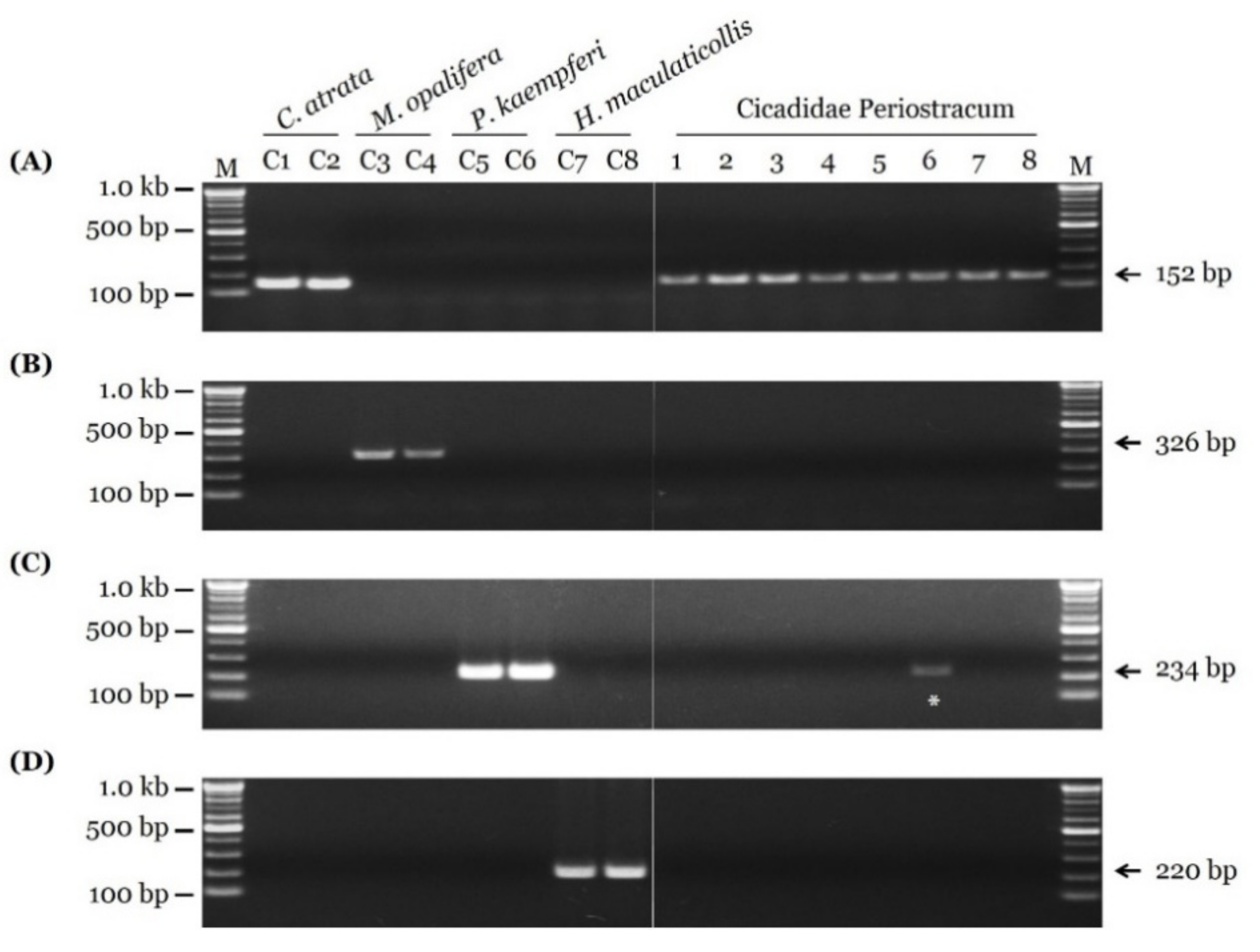 Insects 11 00168 g004