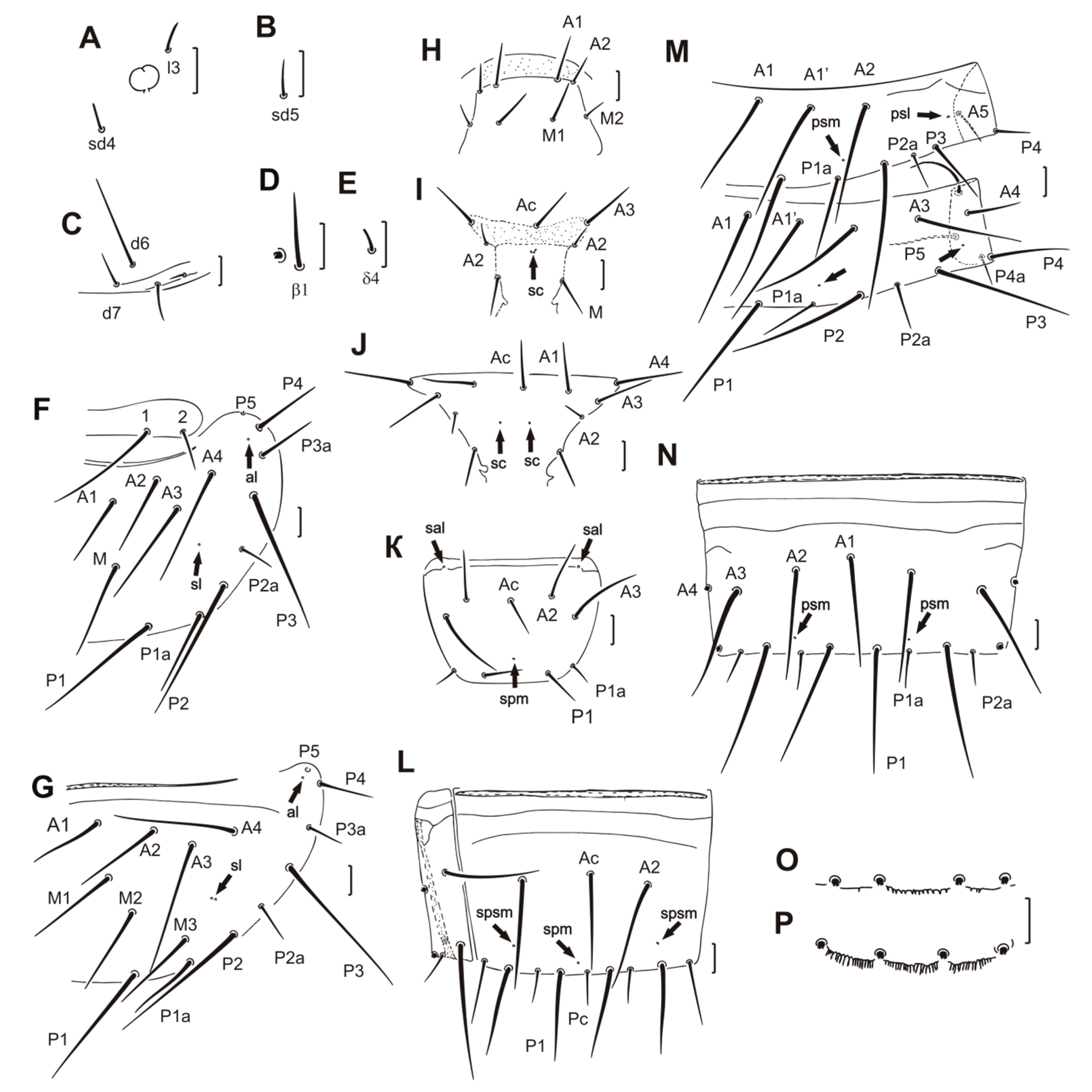 Insects 11 00173 g002