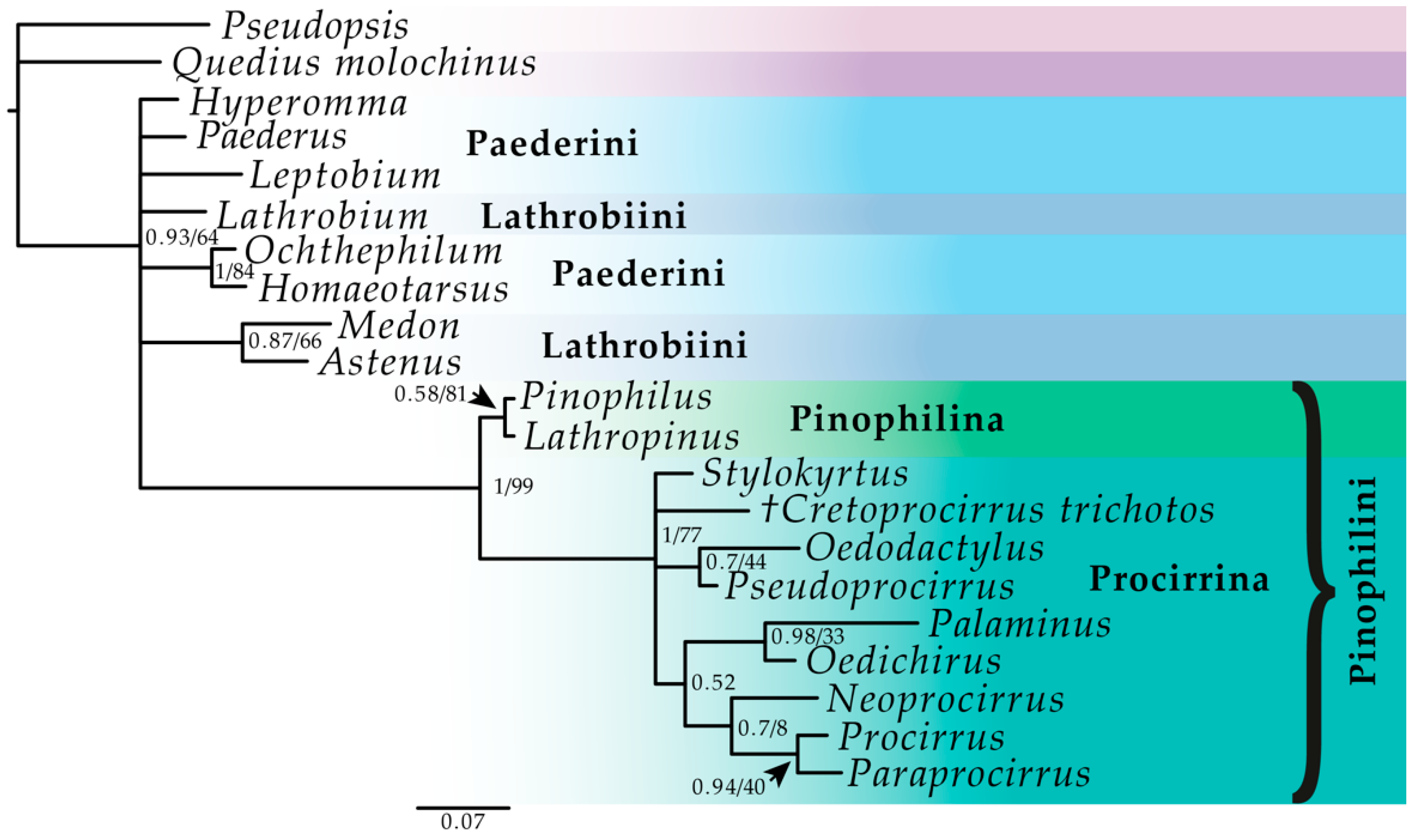 Insects 11 00174 g001