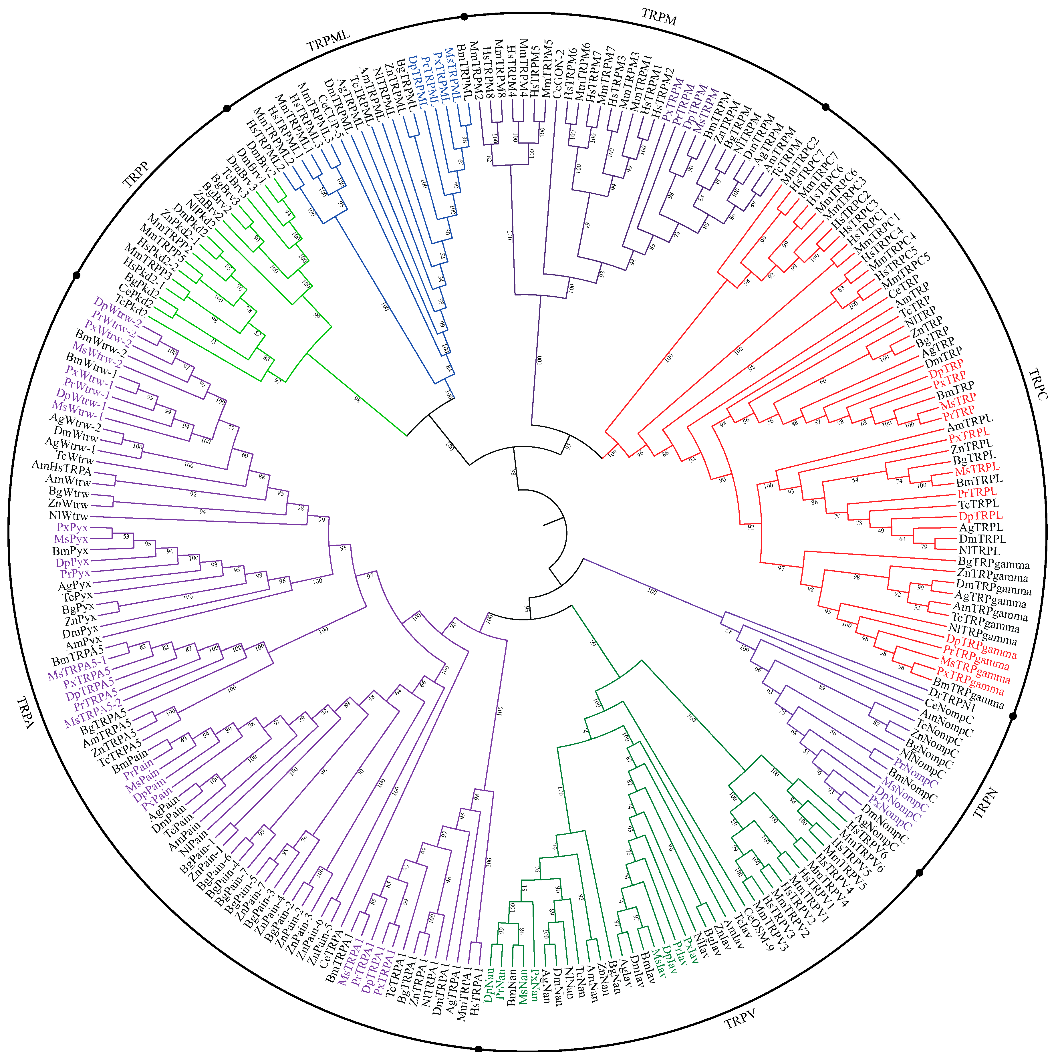 Insects 11 00192 g001