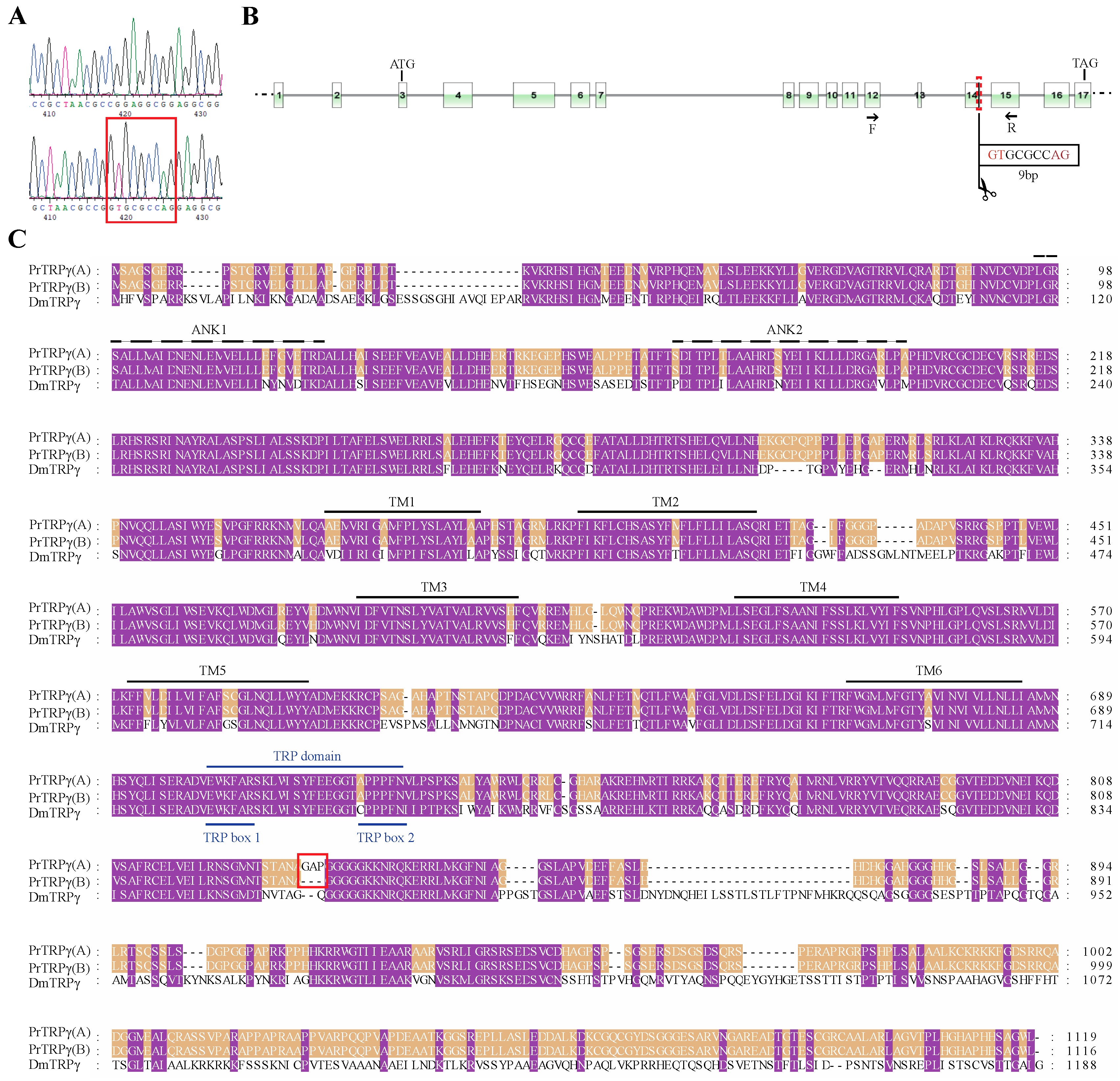 Insects 11 00192 g003