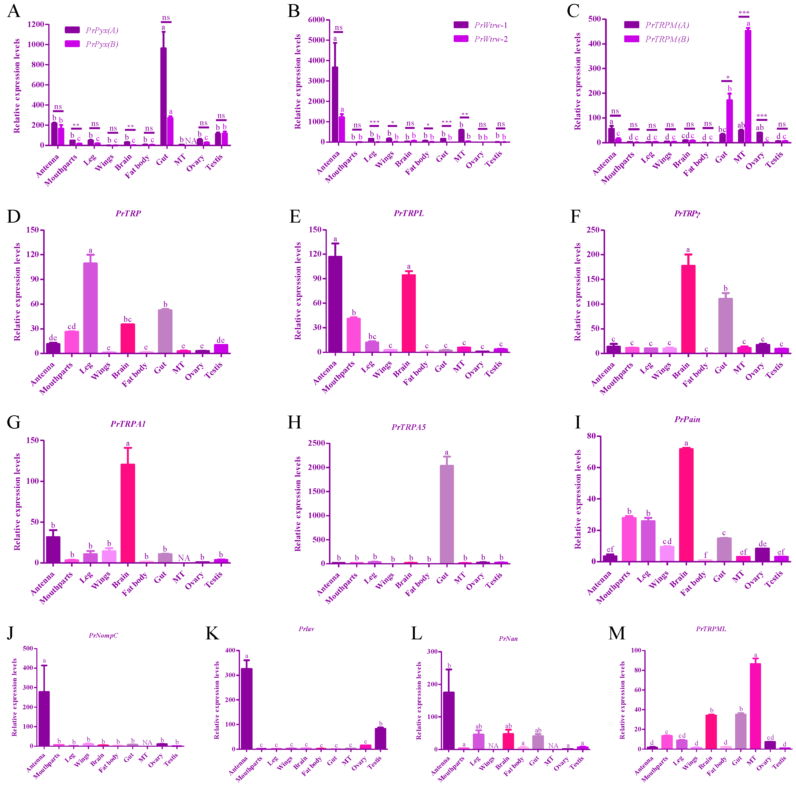 Insects 11 00192 g006