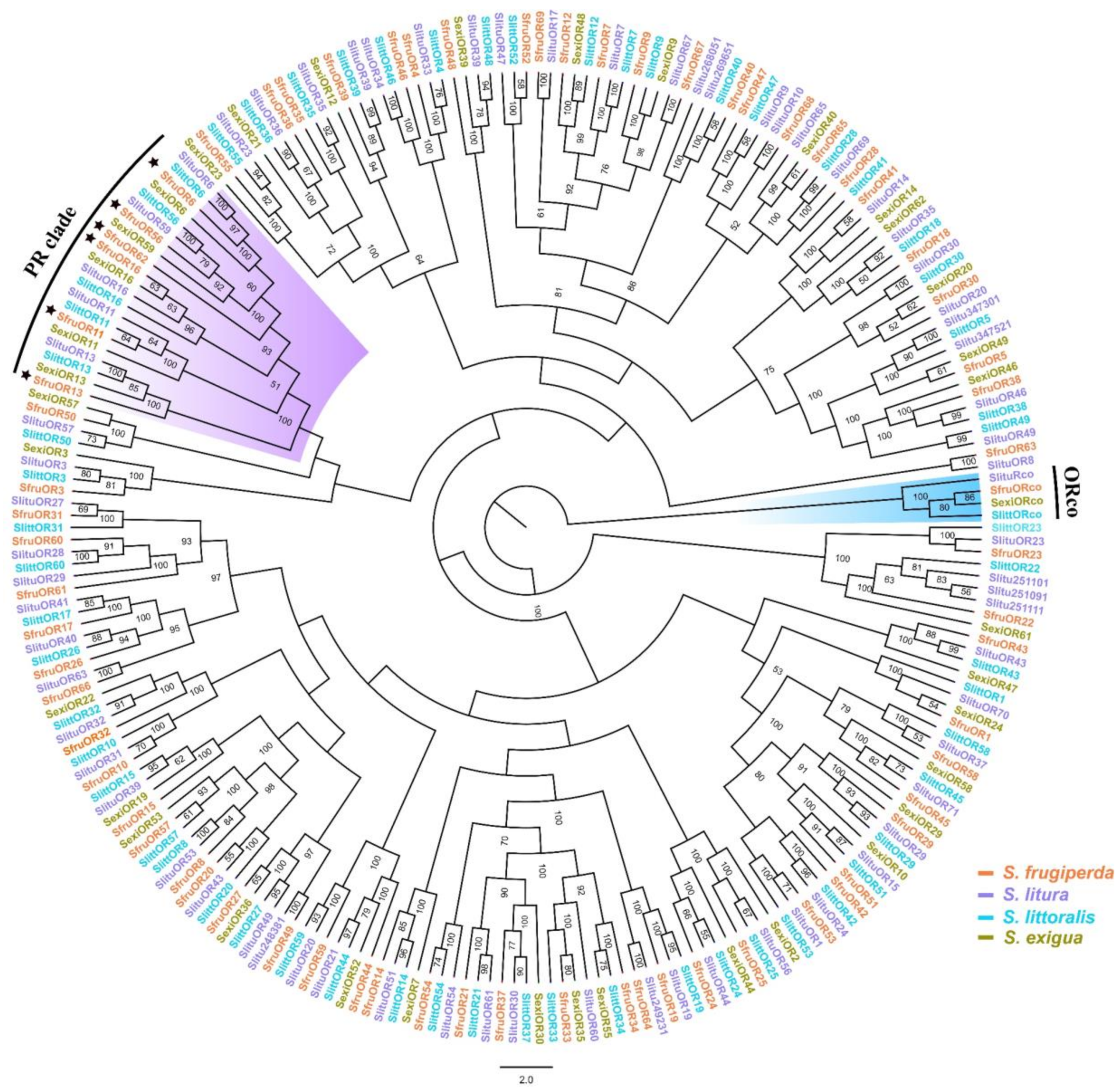 Insects 11 00193 g002 Insects 11 00193 g002