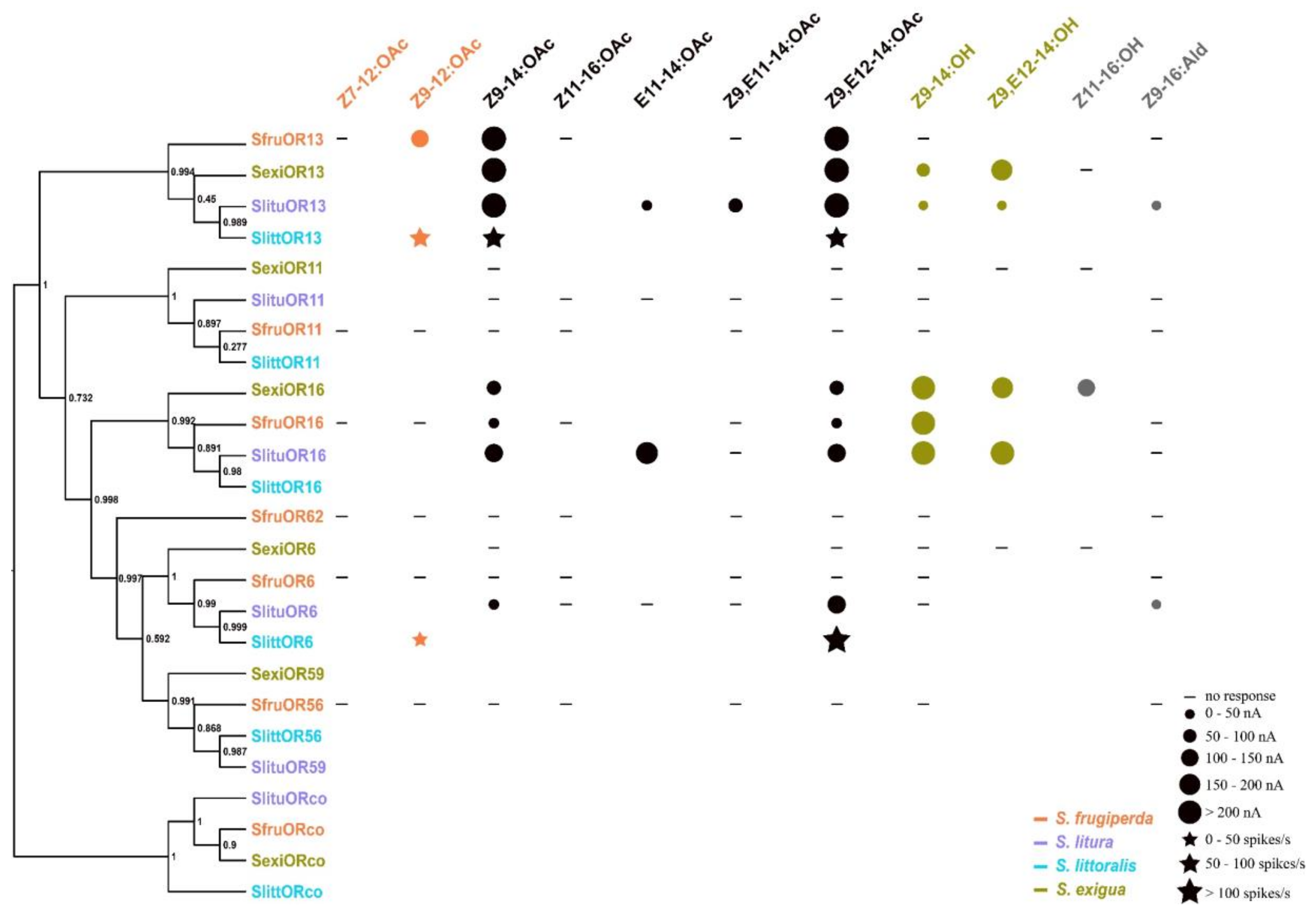 Insects 11 00193 g006 Insects 11 00193 g006