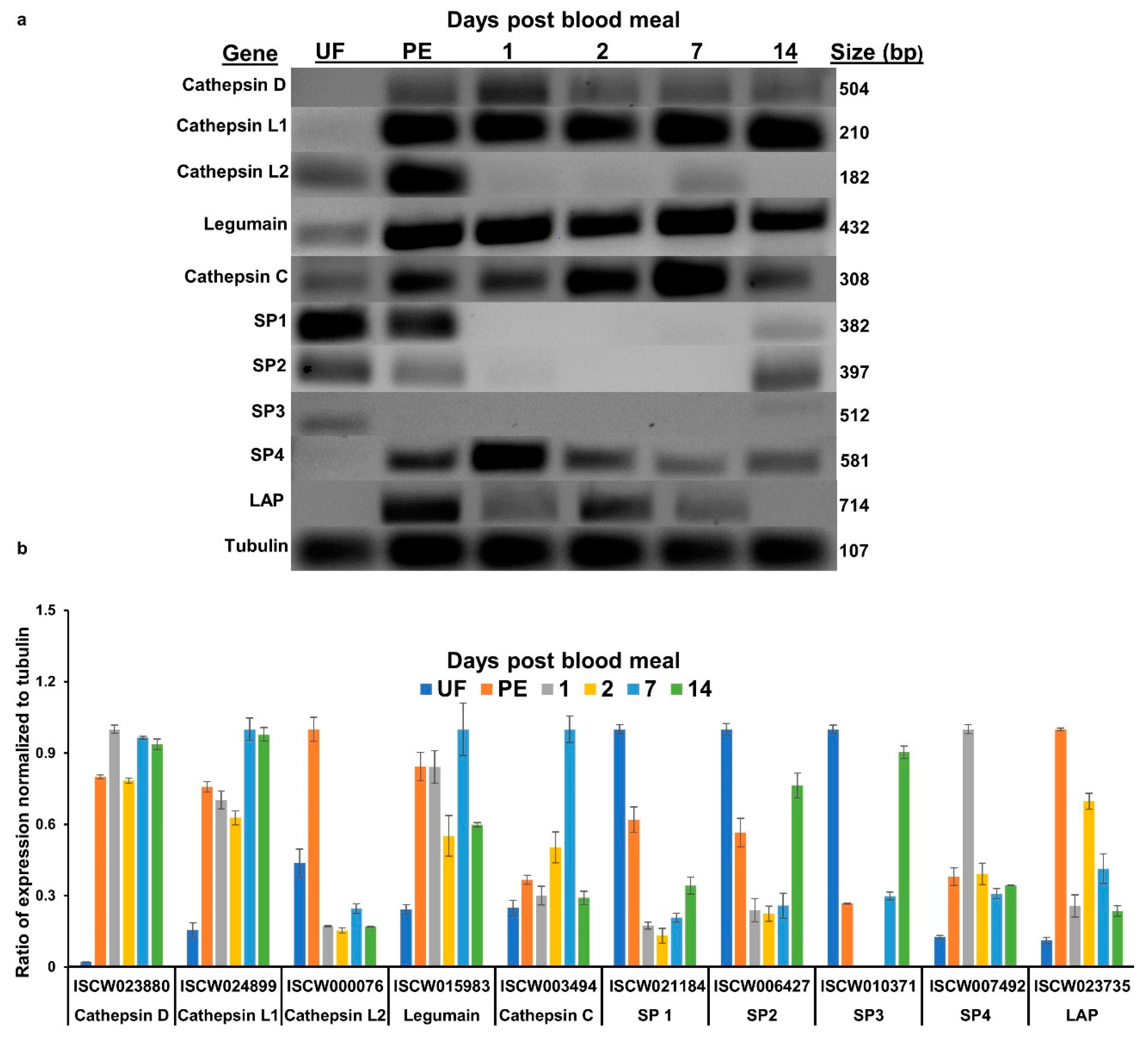 Insects 11 00201 g001 Insects 11 00201 g001
