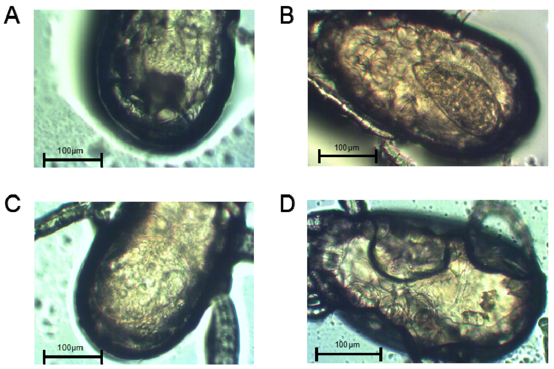 Insects 11 00203 g002 Insects 11 00203 g002