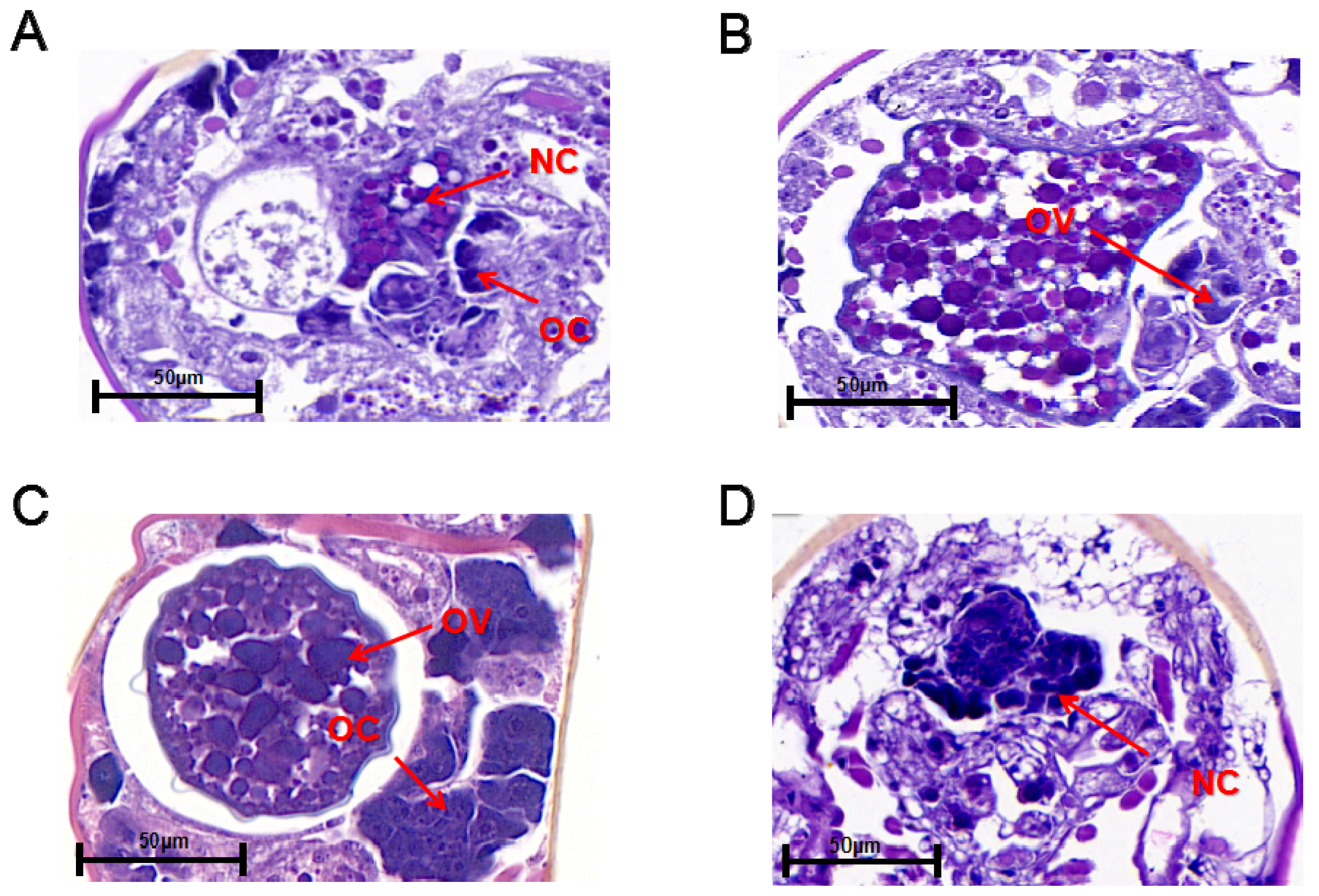 Insects 11 00203 g003 Insects 11 00203 g003