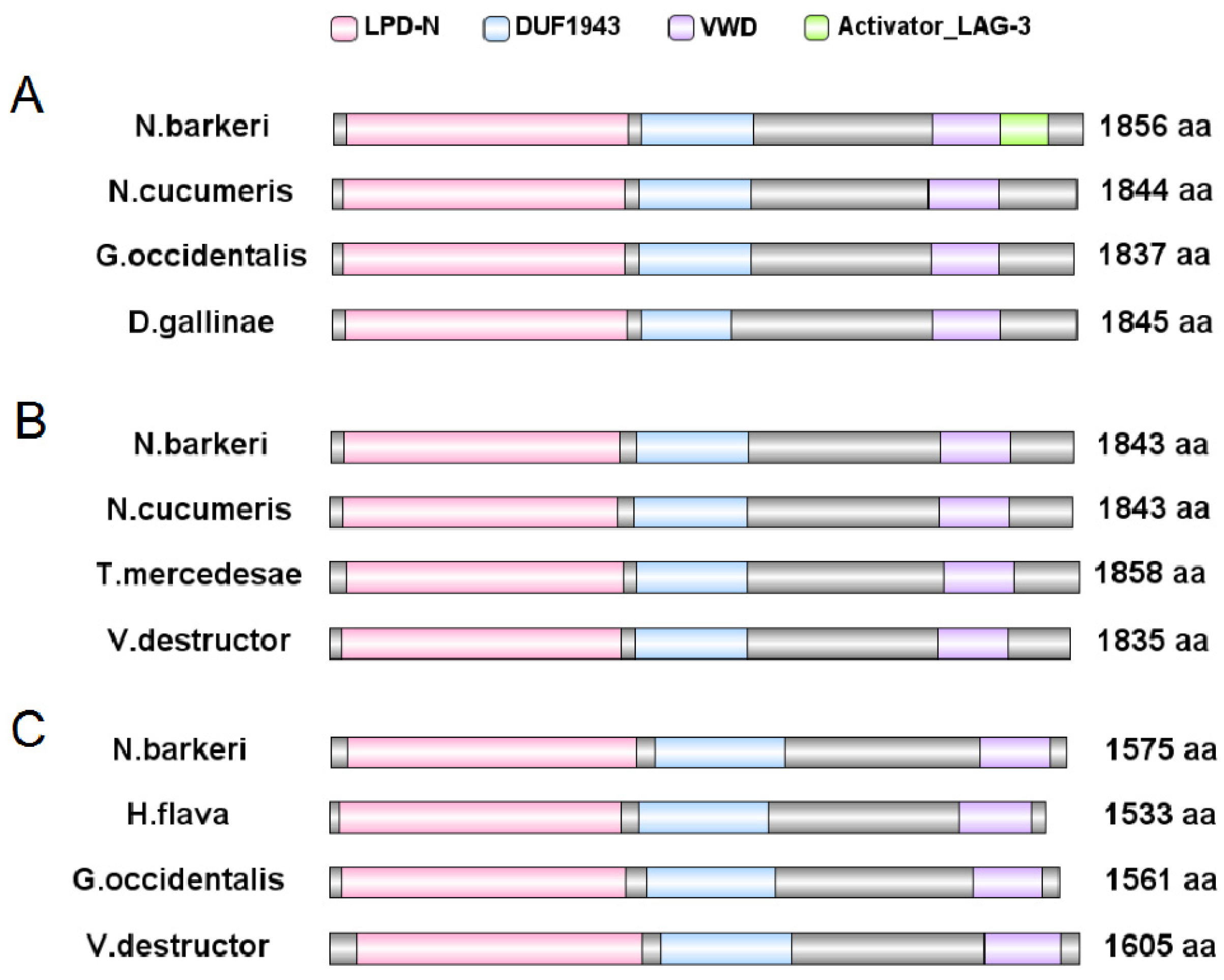Insects 11 00203 g005 Insects 11 00203 g005