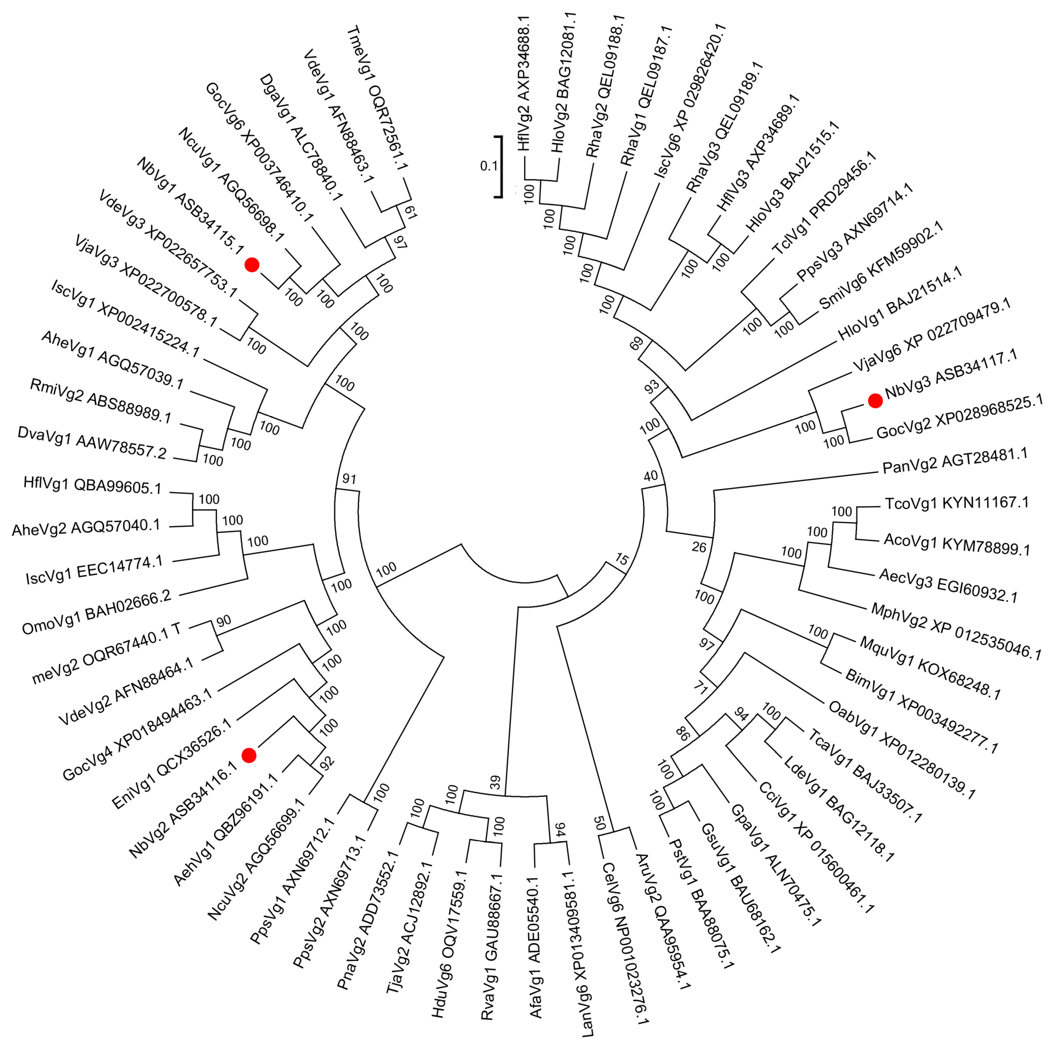 Insects 11 00203 g006 Insects 11 00203 g006