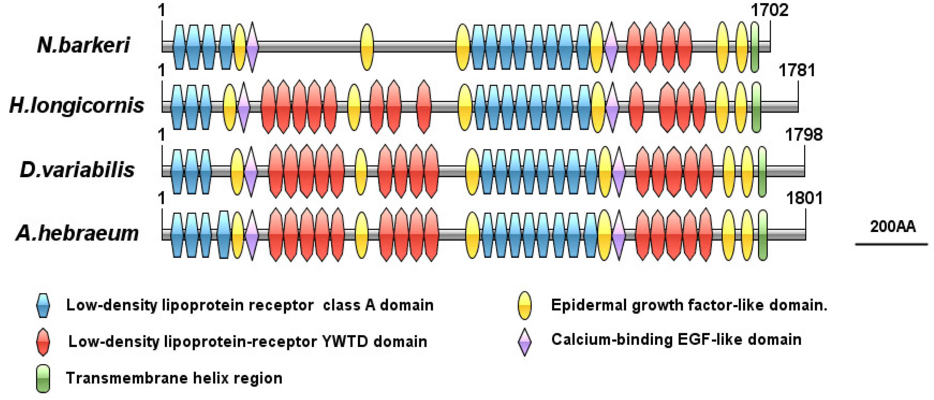 Insects 11 00203 g007 Insects 11 00203 g007