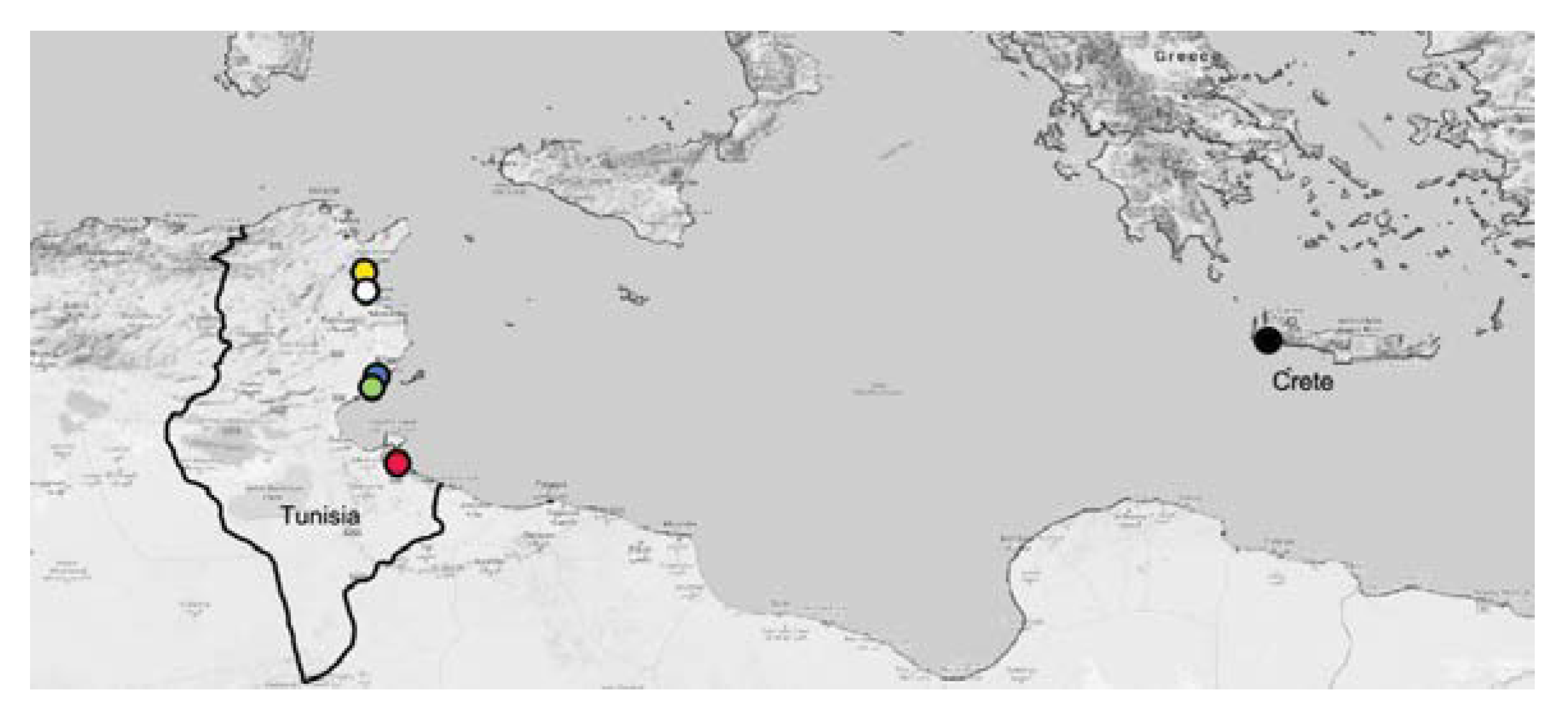 Insects 11 00204 g001