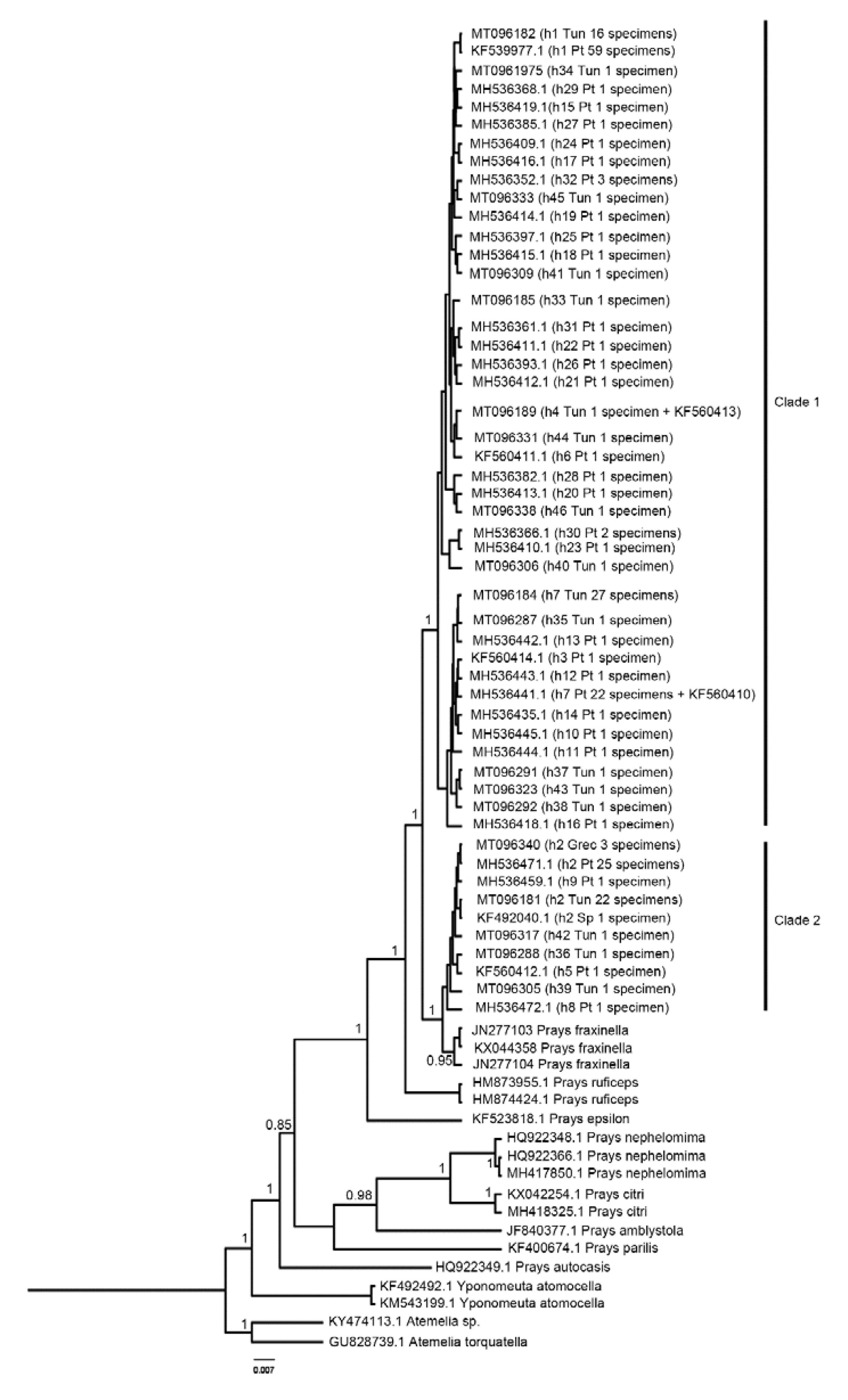 Insects 11 00204 g002