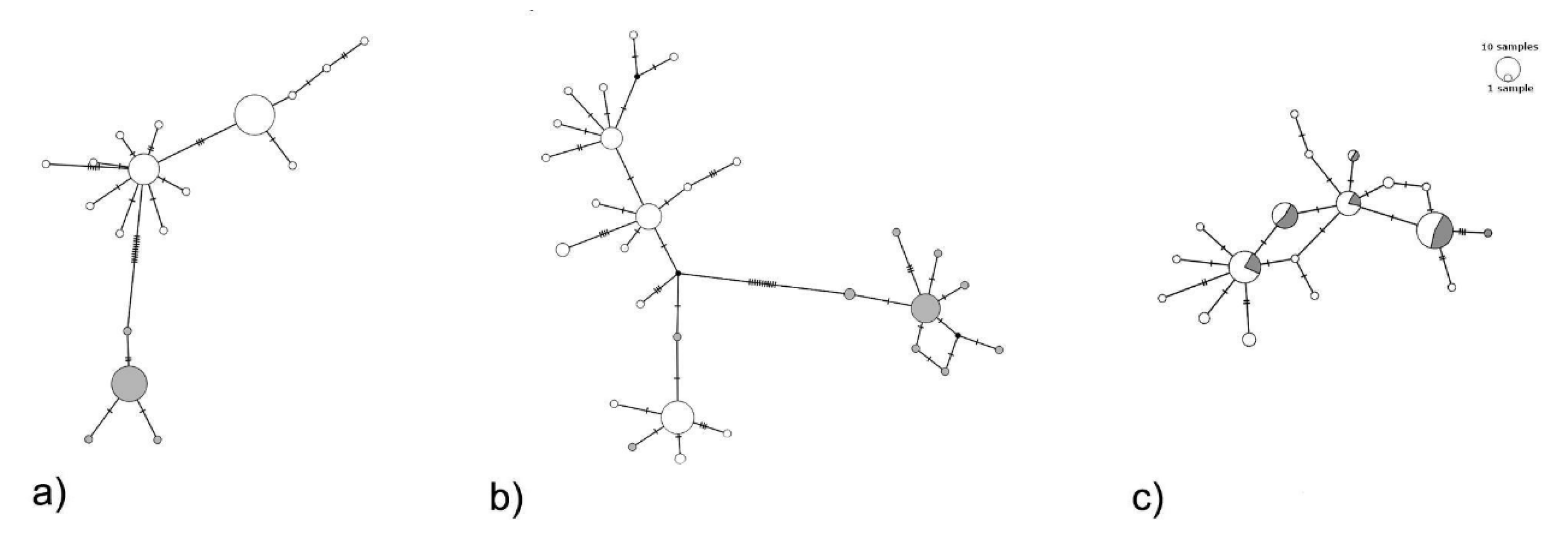 Insects 11 00204 g003