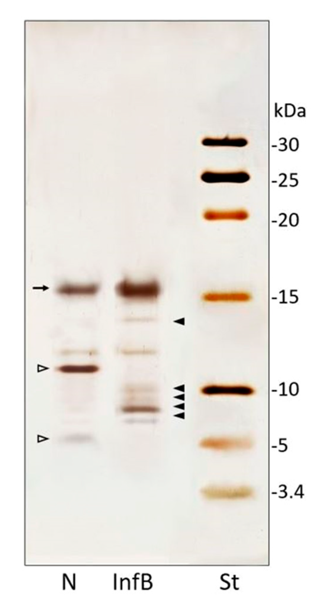 Insects 11 00210 g002