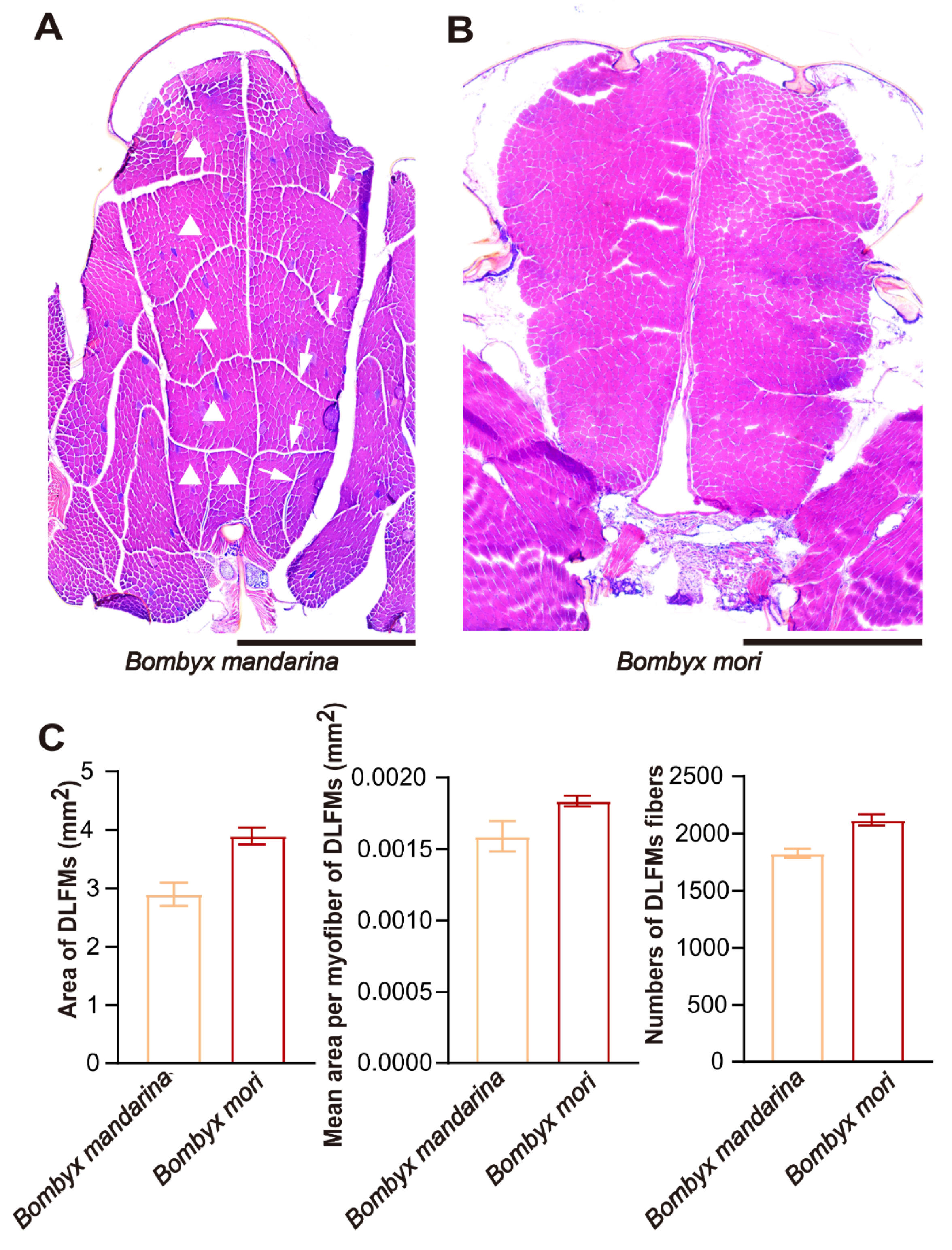 Insects 11 00220 g006 Insects 11 00220 g006