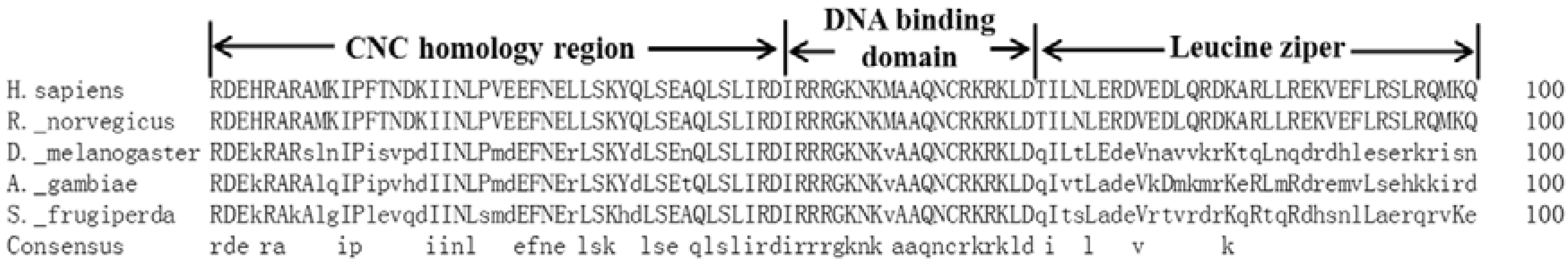 Insects 11 00221 g003