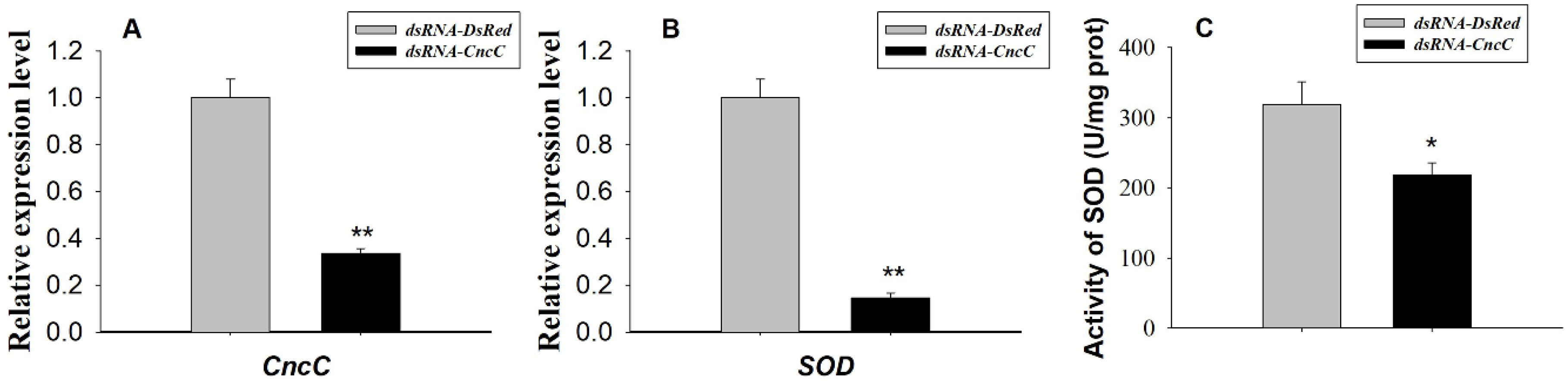 Insects 11 00221 g005