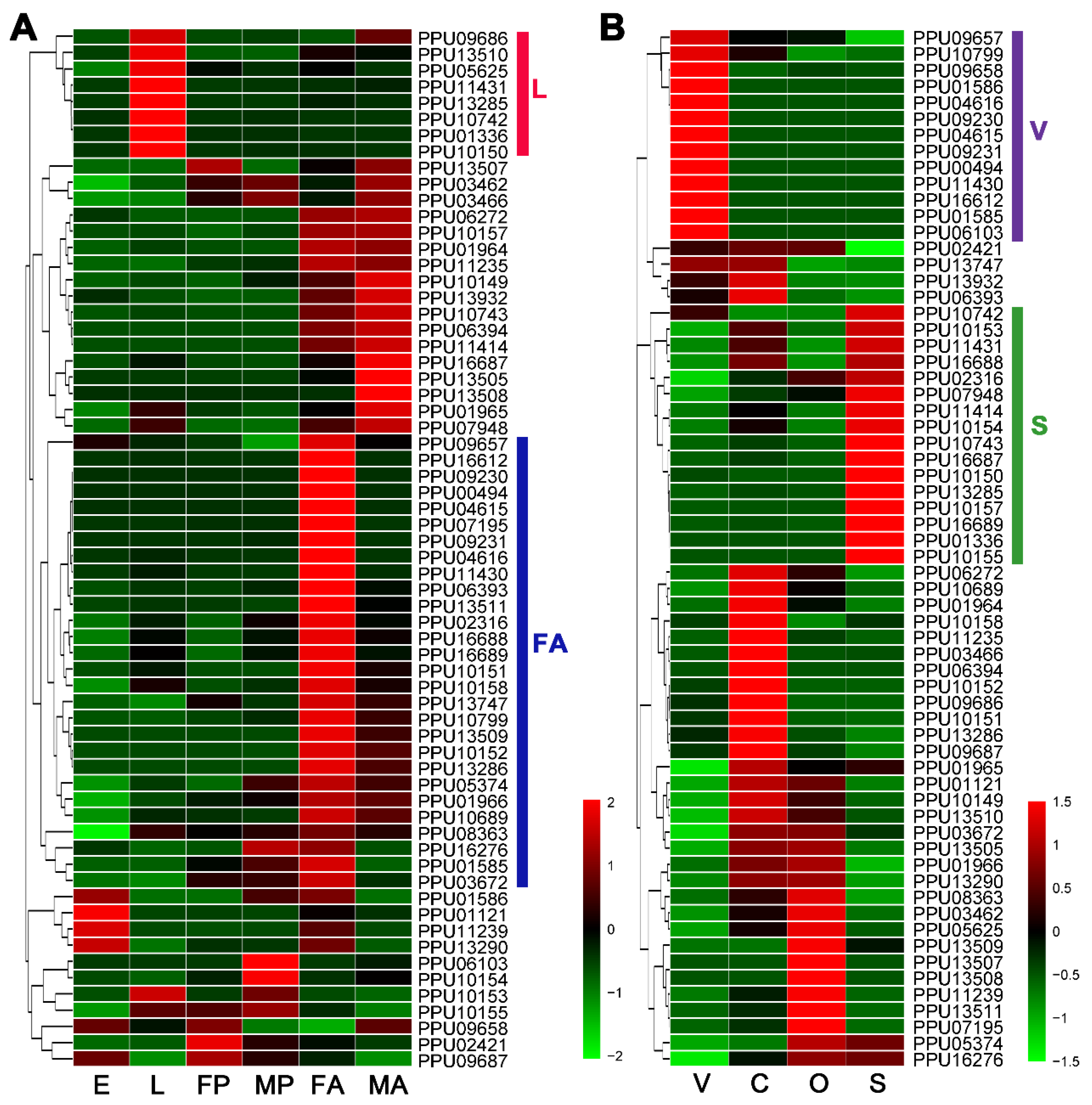 Insects 11 00227 g001