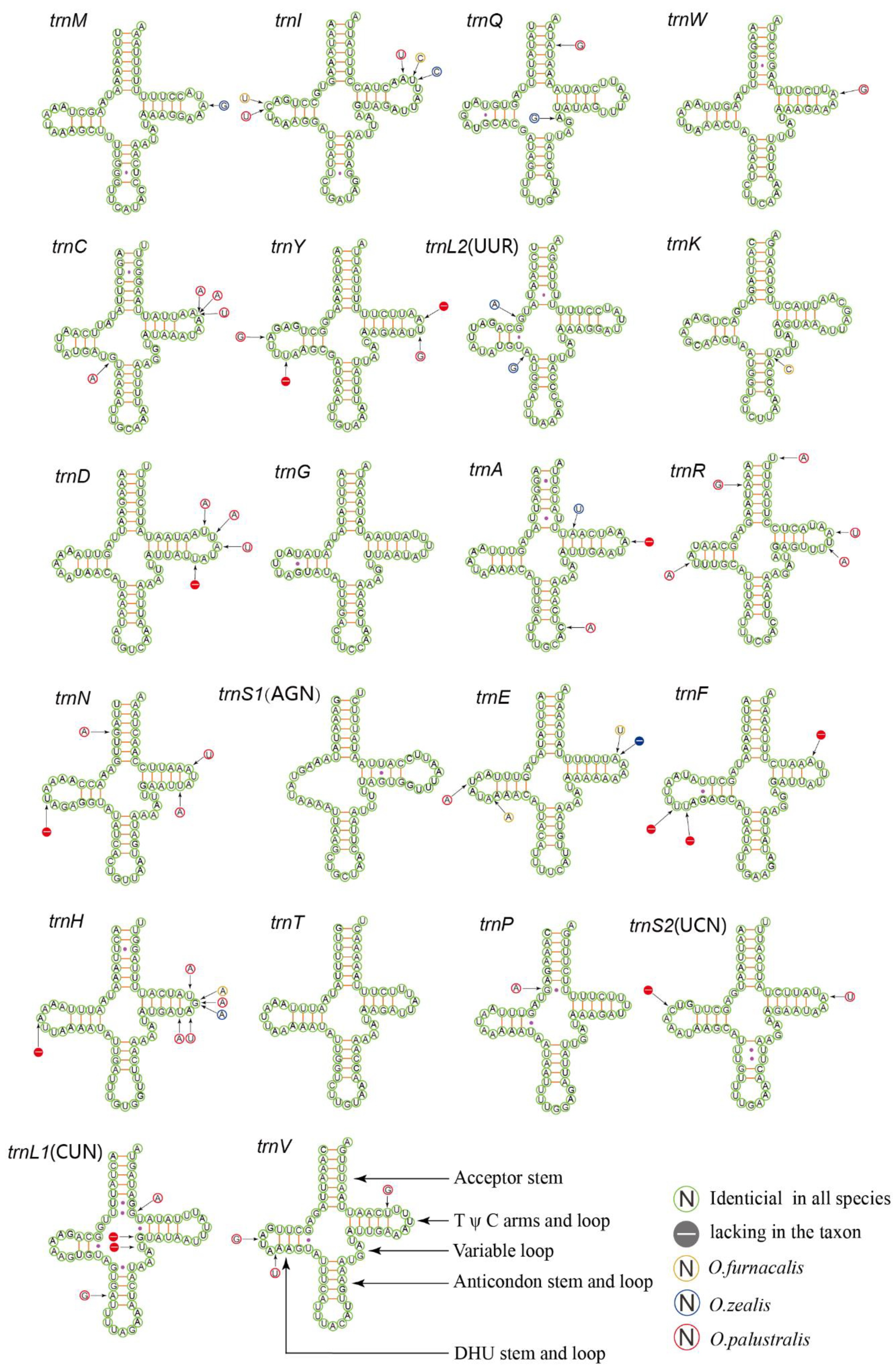 Insects 11 00232 g003 Insects 11 00232 g003