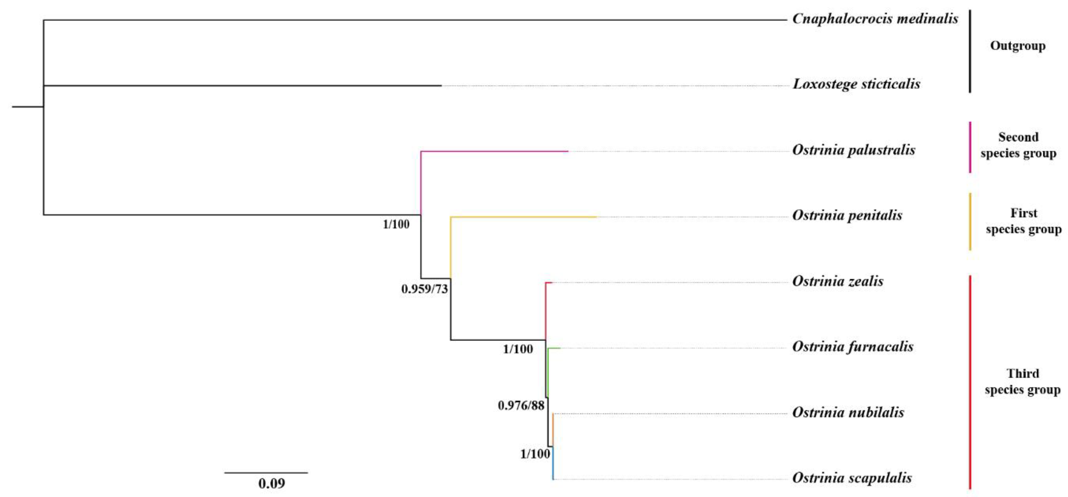 Insects 11 00232 g006 Insects 11 00232 g006