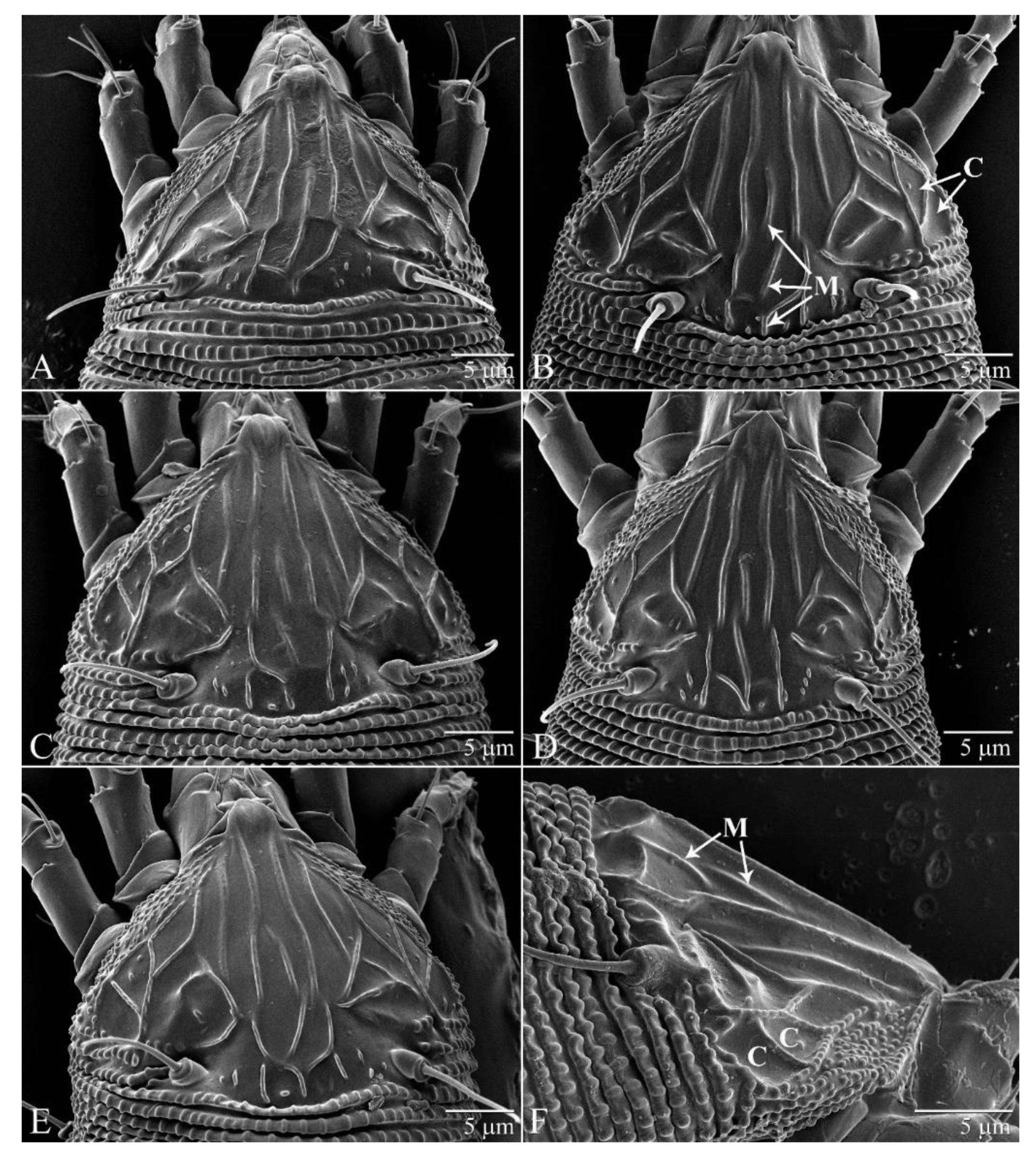 Insects 11 00235 g003 Insects 11 00235 g003
