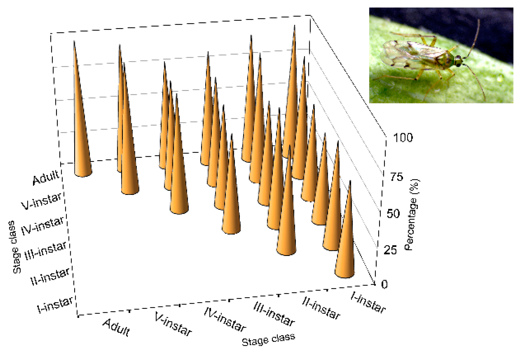 Insects 11 00242 g003