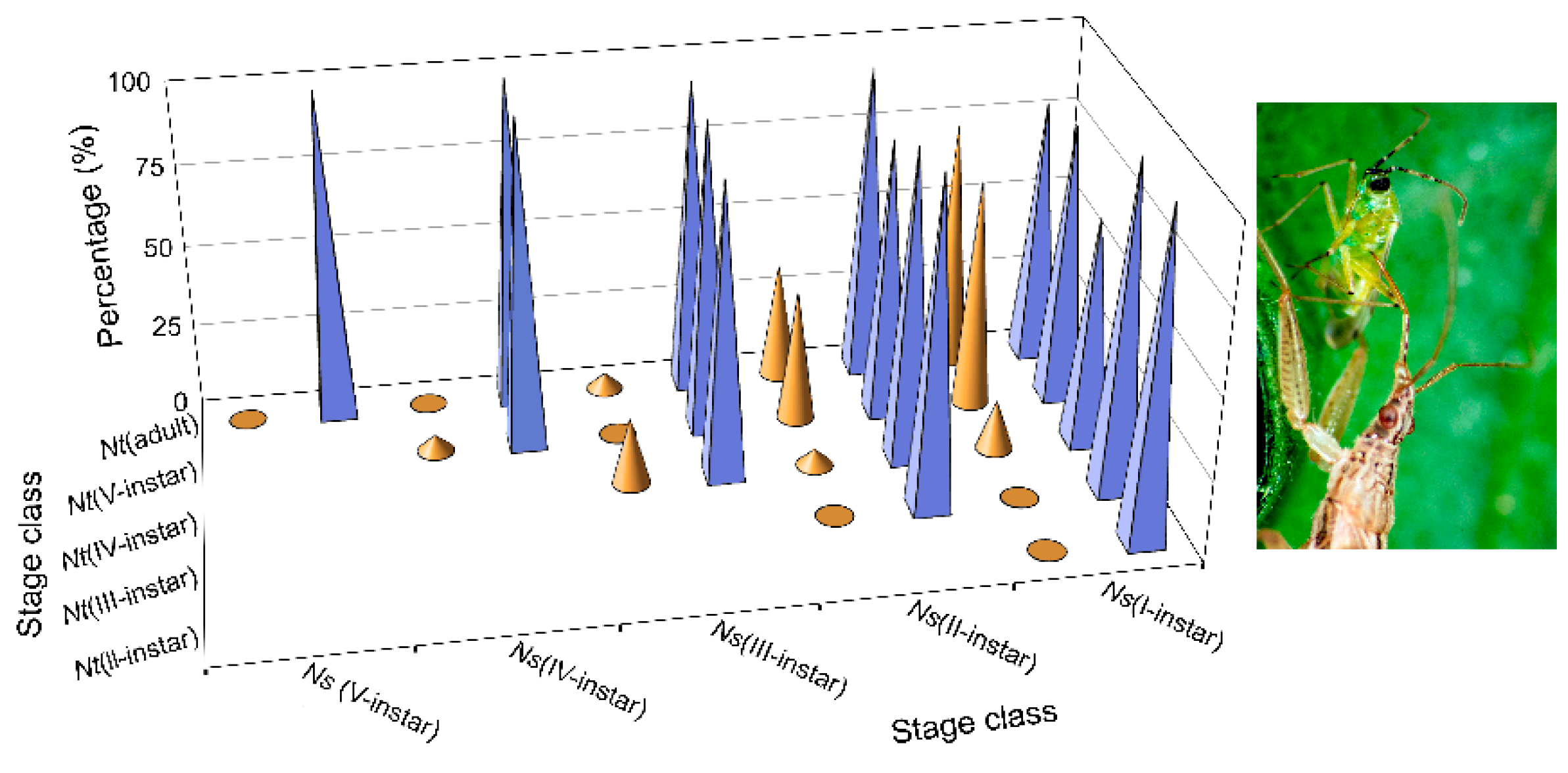 Insects 11 00242 g004