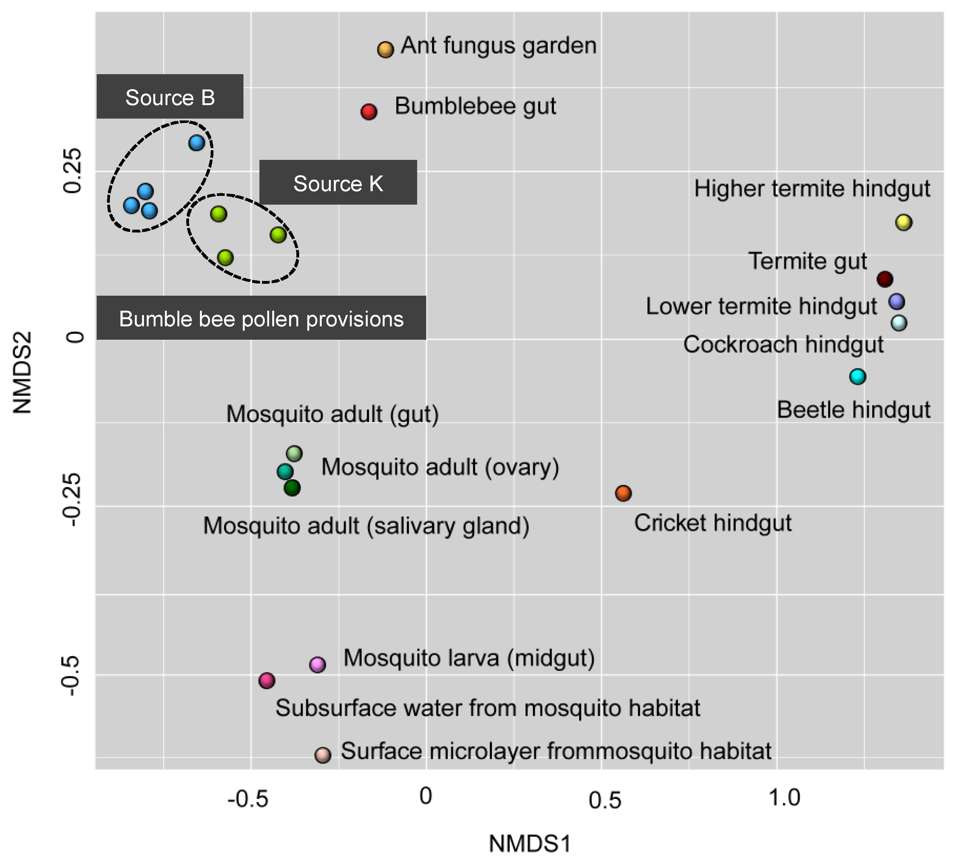 Insects Free Full Text Microbial Diversity Associated With The