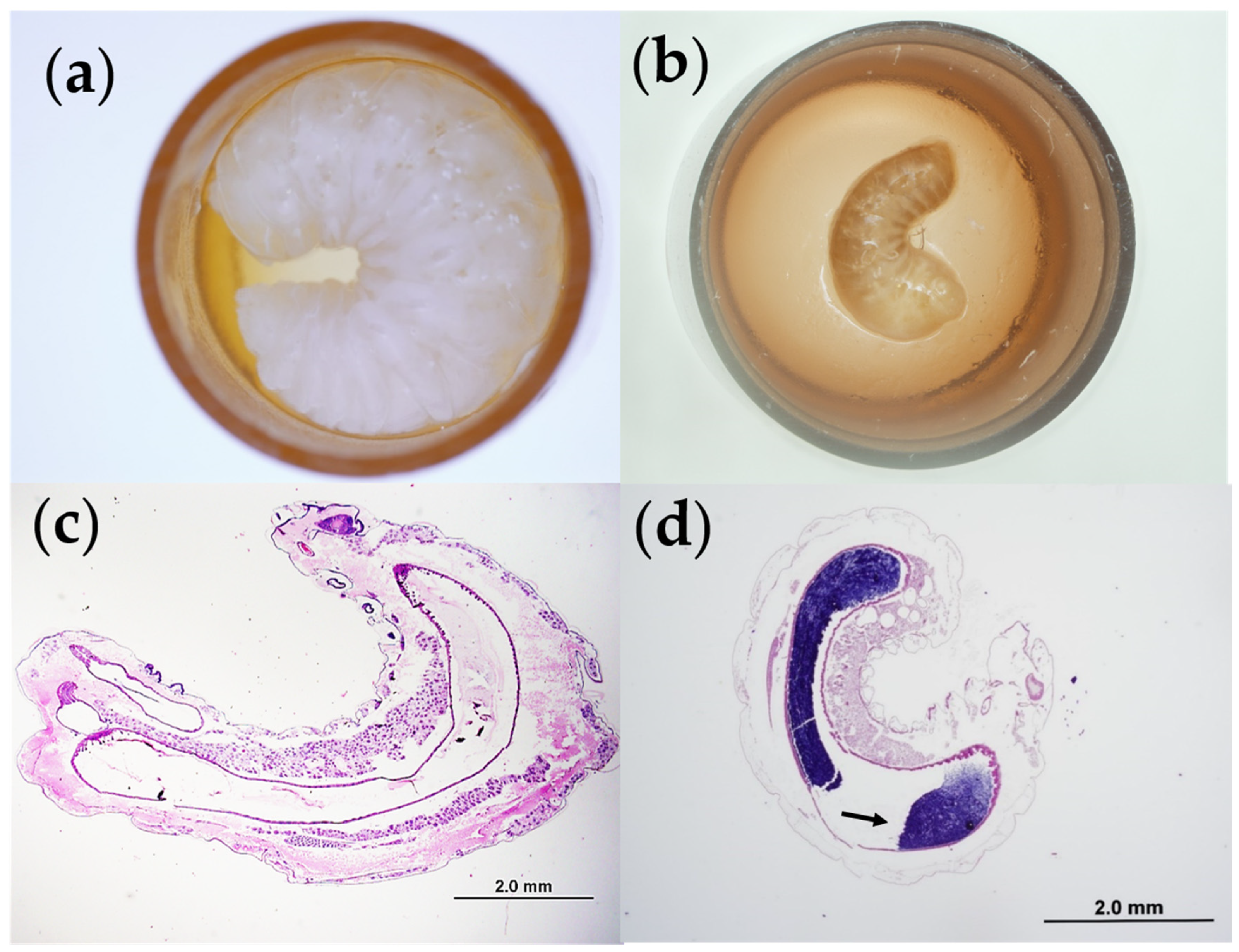 Insects 11 00252 g001 Insects 11 00252 g001