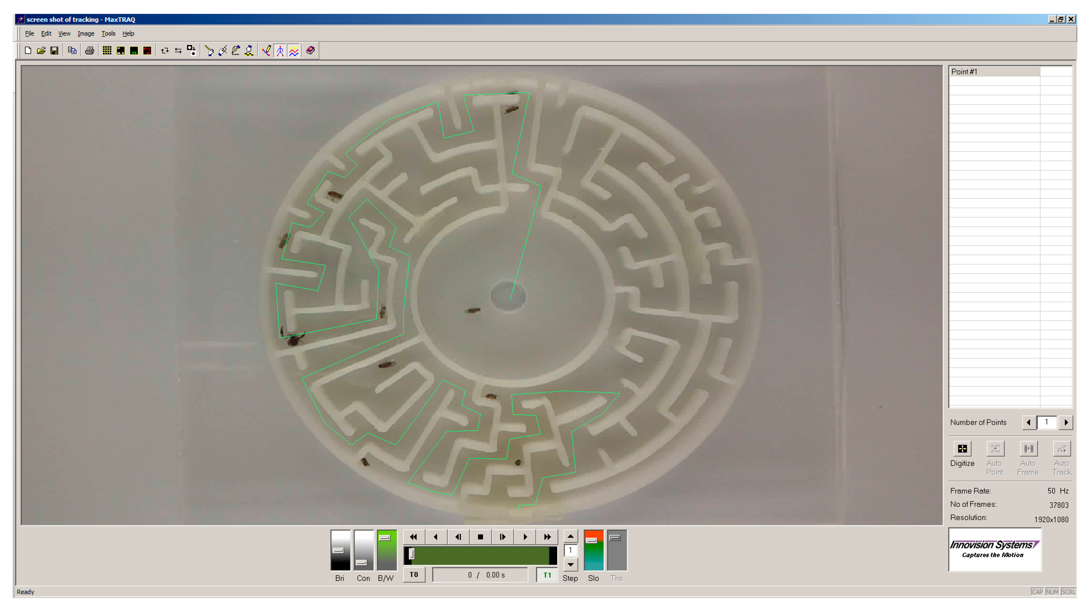 Insects 11 00256 g002