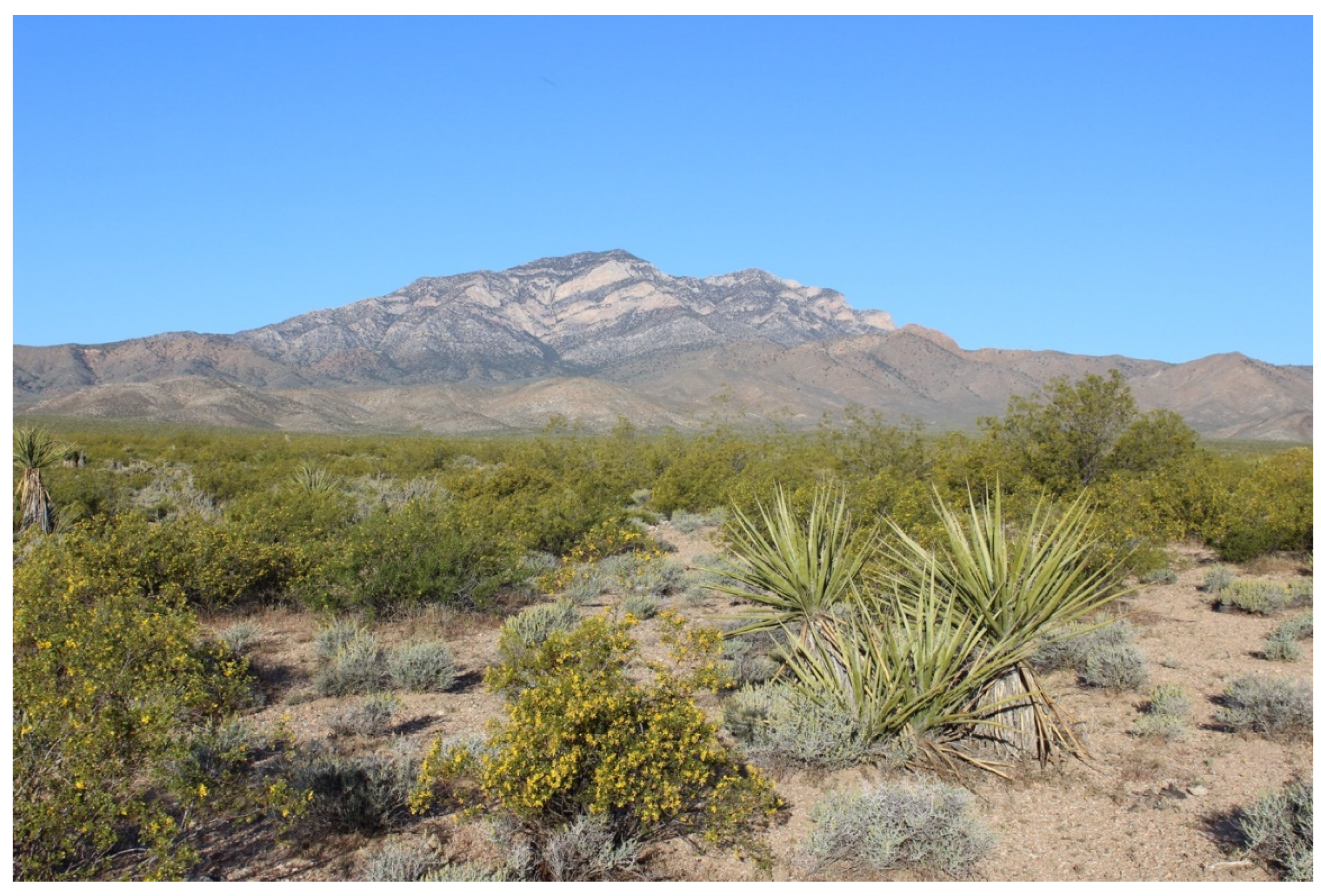 Insects 11 00257 g002 Insects 11 00257 g002