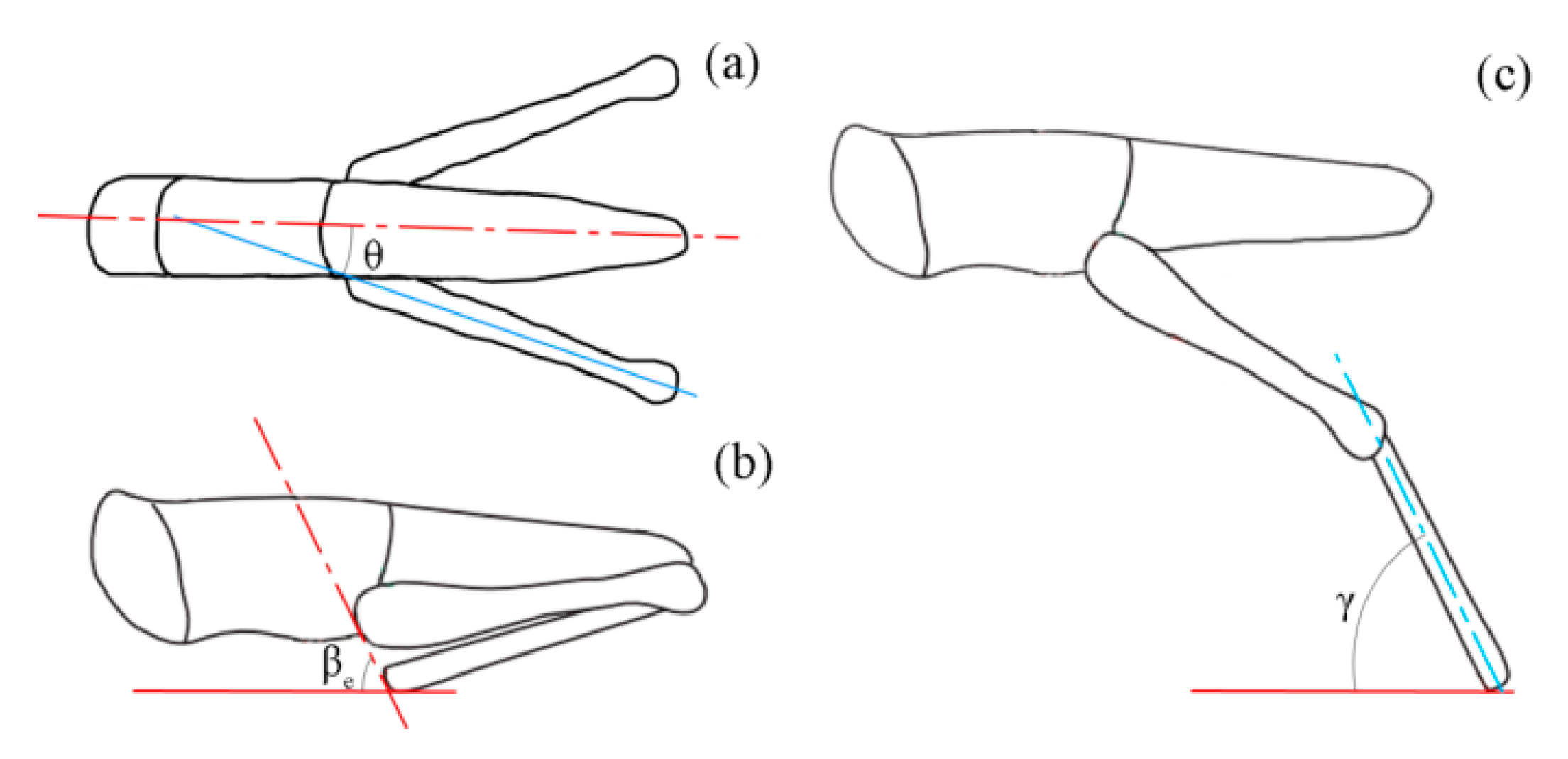 Insects 11 00259 g003