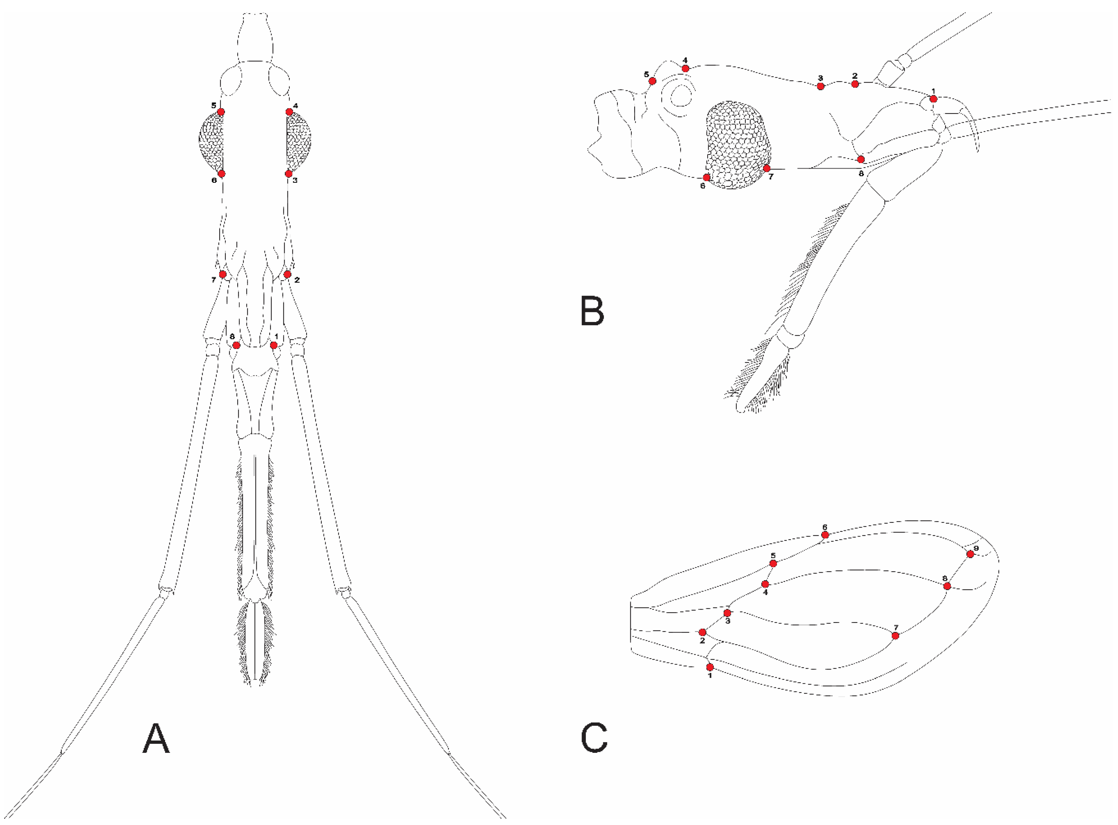 Insects 11 00274 g002
