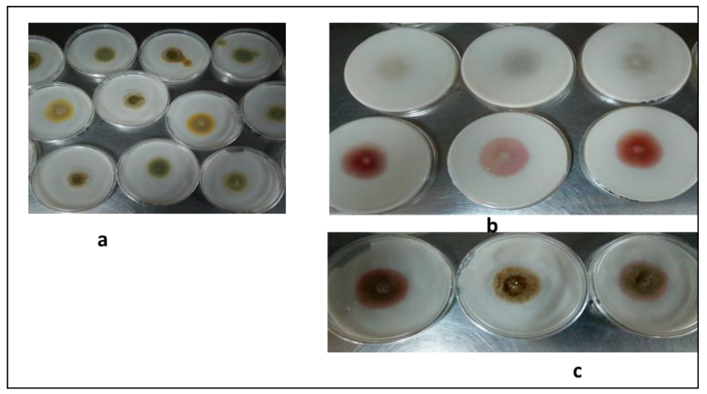 Insects 11 00277 g002 Insects 11 00277 g002