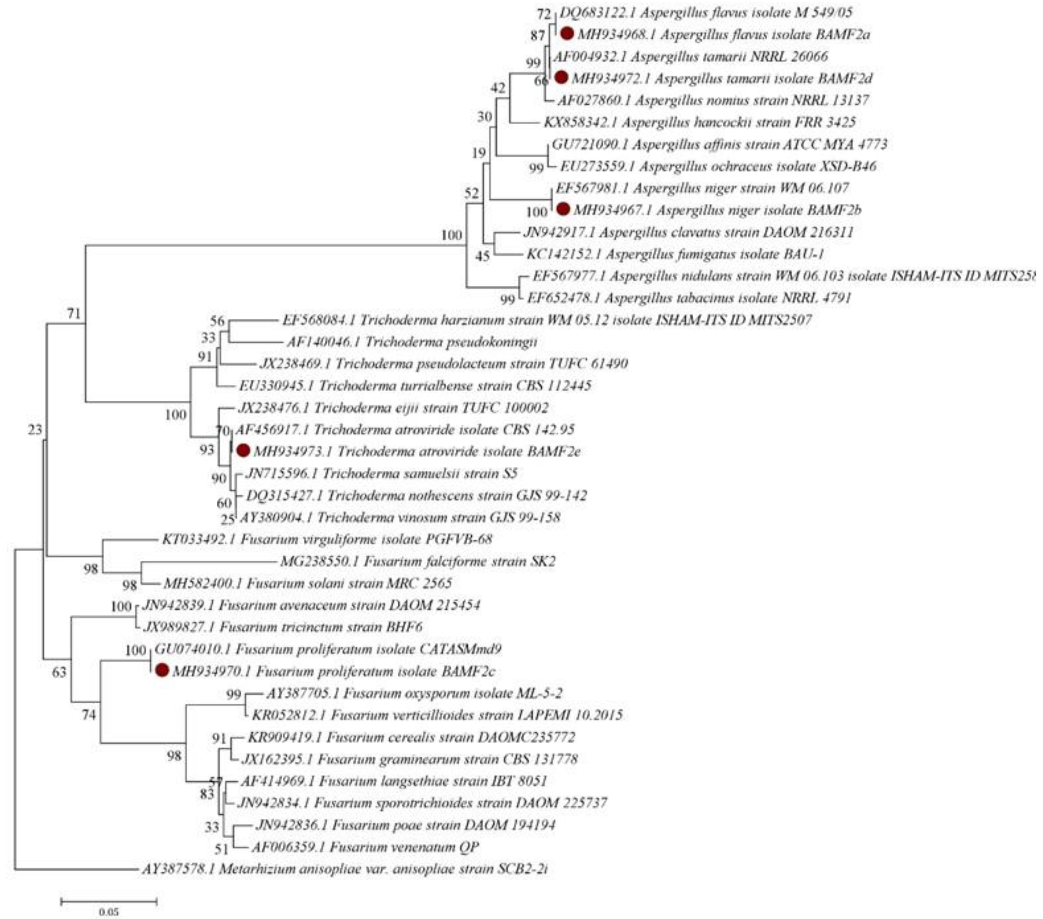 Insects 11 00277 g003 Insects 11 00277 g003