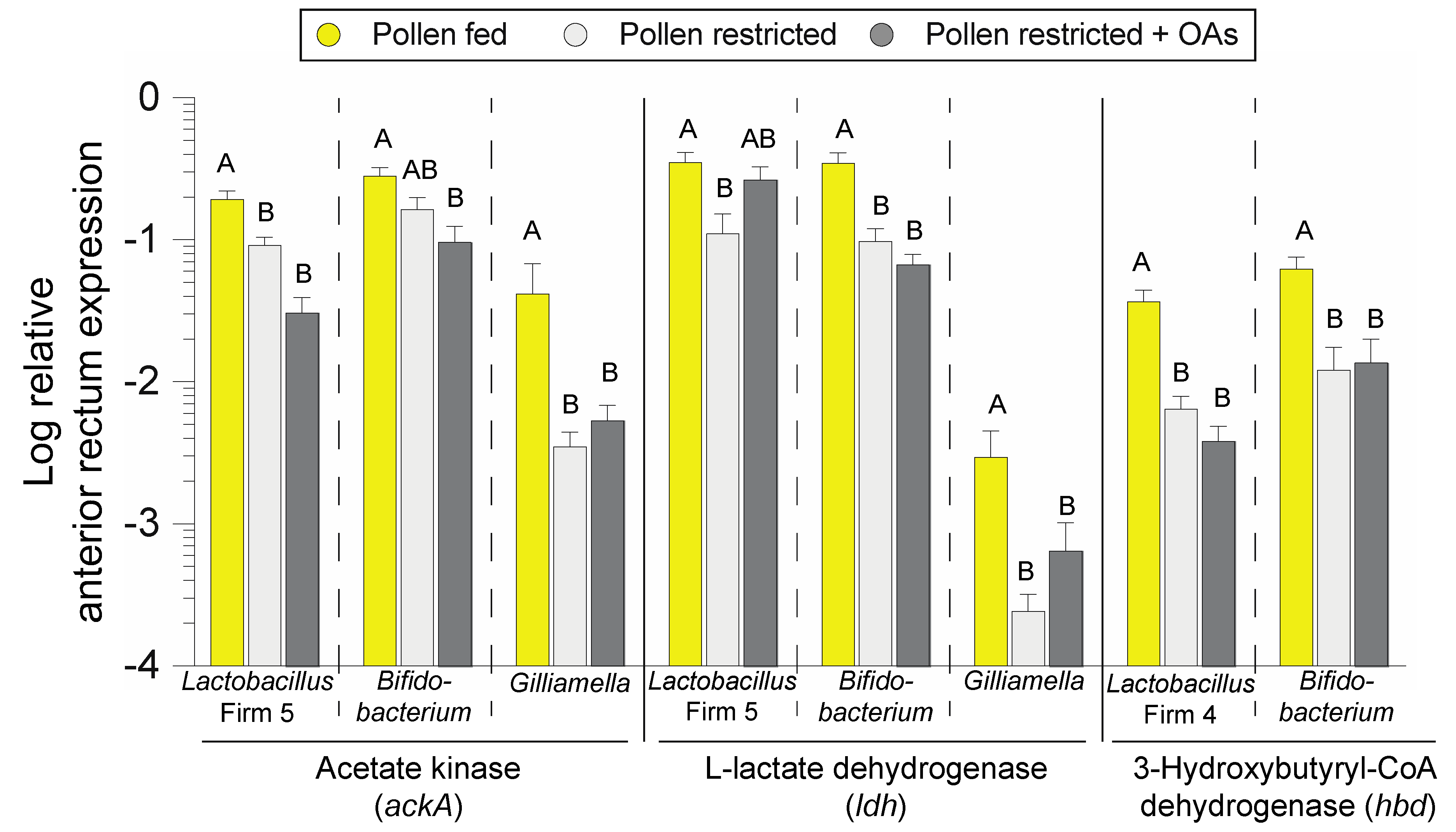 Insects 11 00291 g004 Insects 11 00291 g004