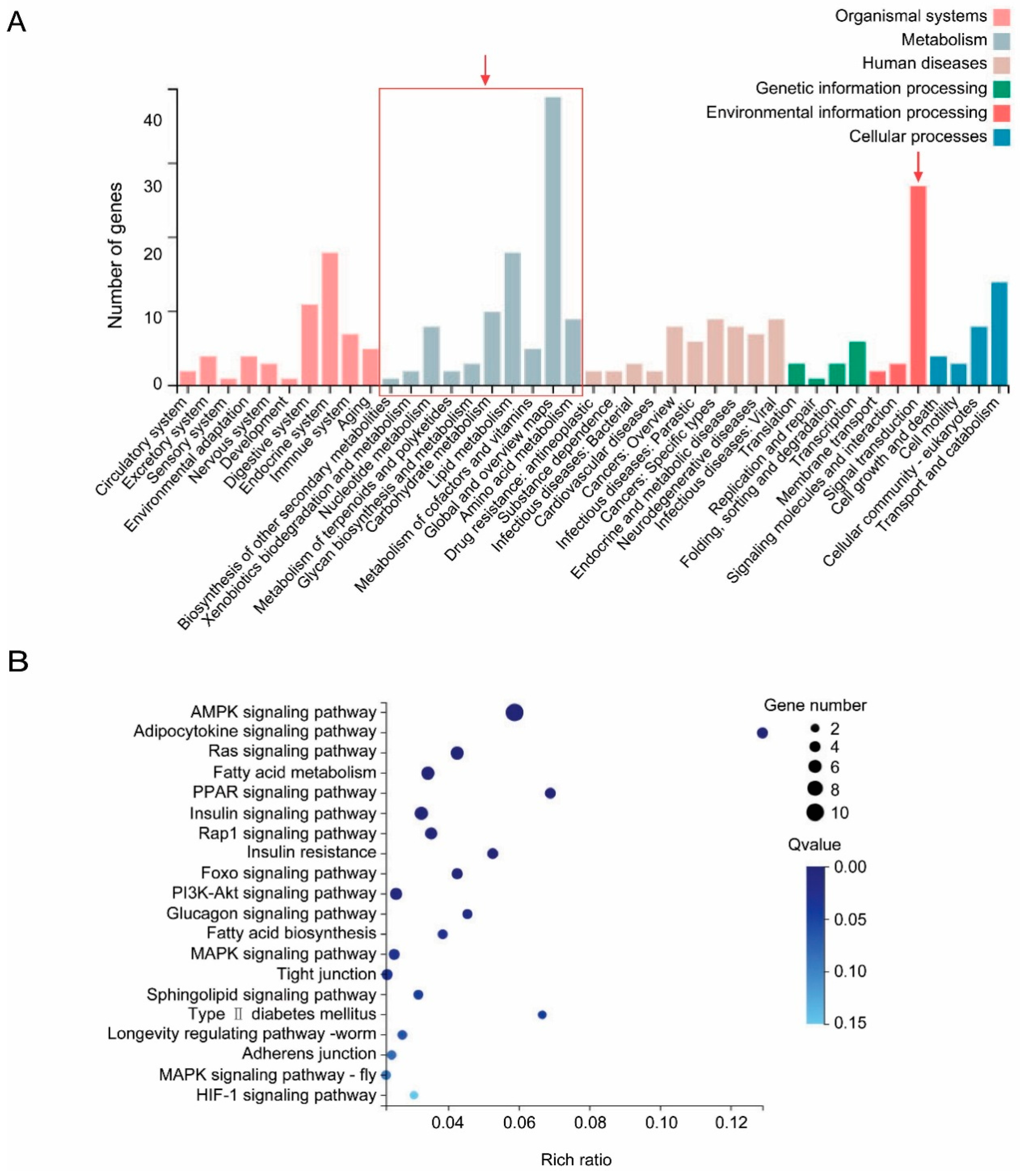 Insects 11 00297 g004