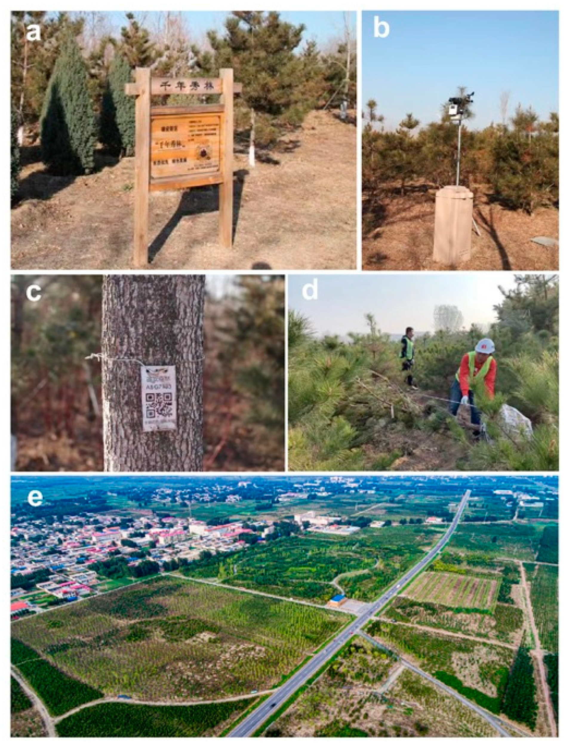 Insects 11 00300 g002 Insects 11 00300 g002