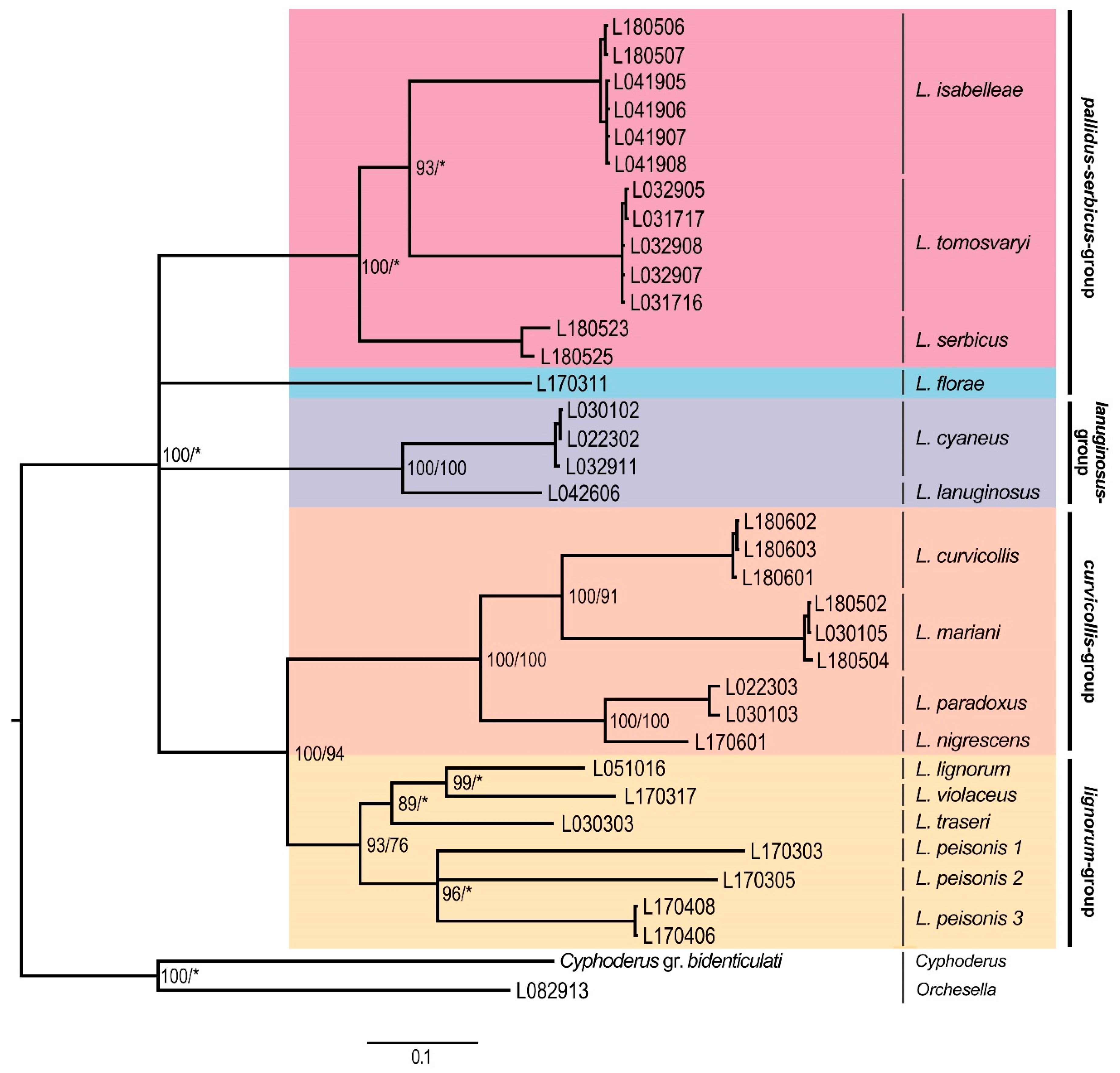 Insects 11 00302 g001 Insects 11 00302 g001