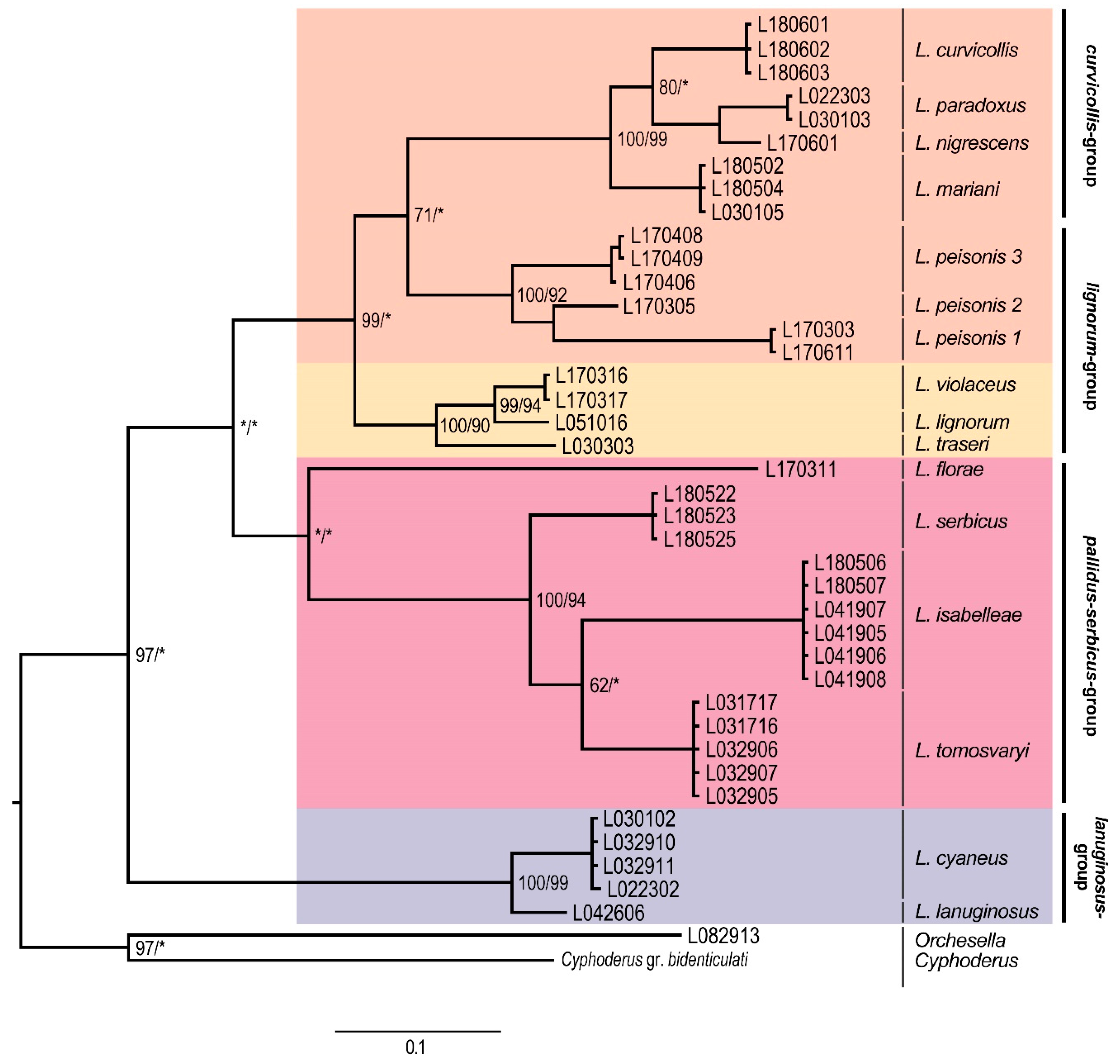 Insects 11 00302 g004 Insects 11 00302 g004