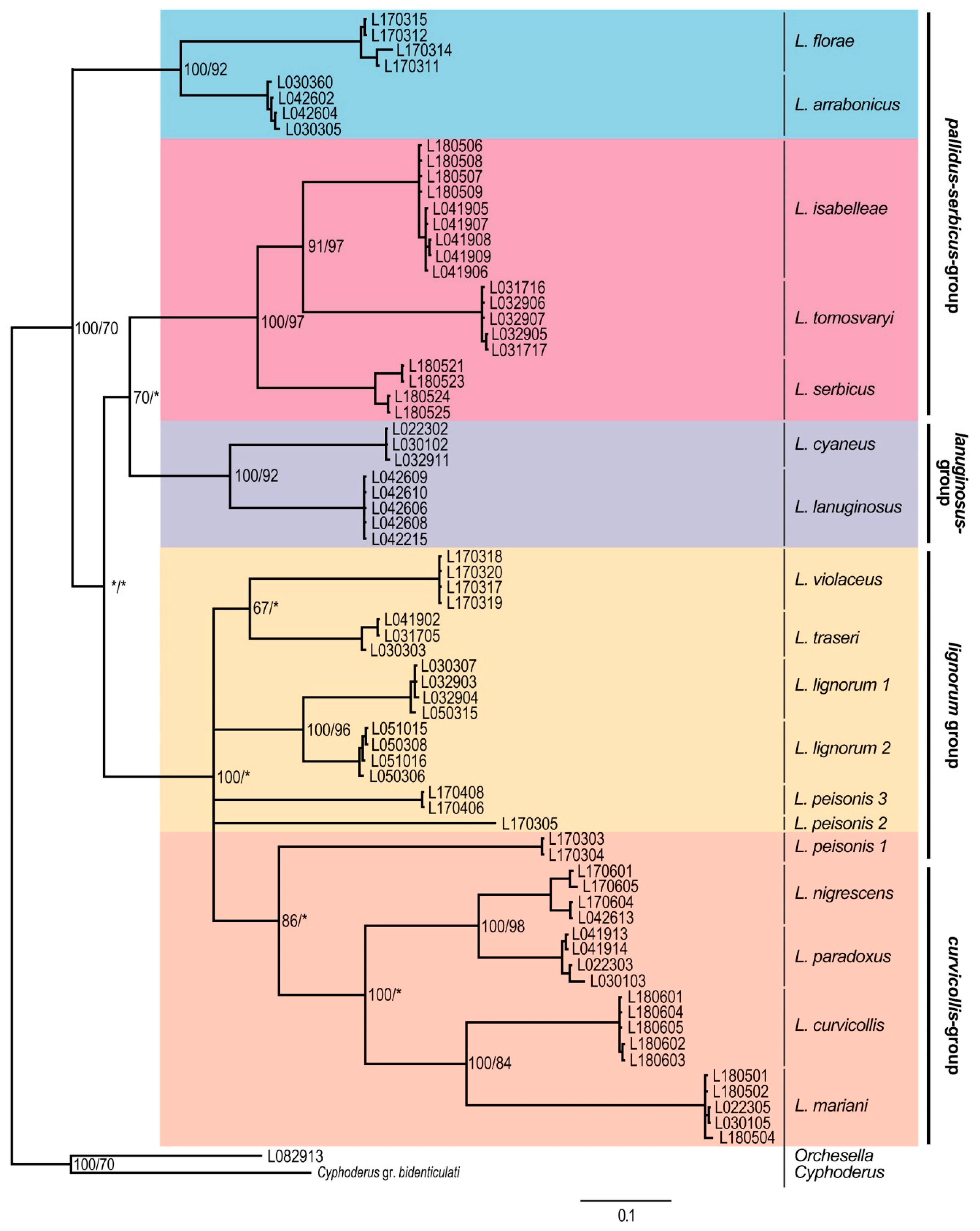 Insects 11 00302 g005 Insects 11 00302 g005