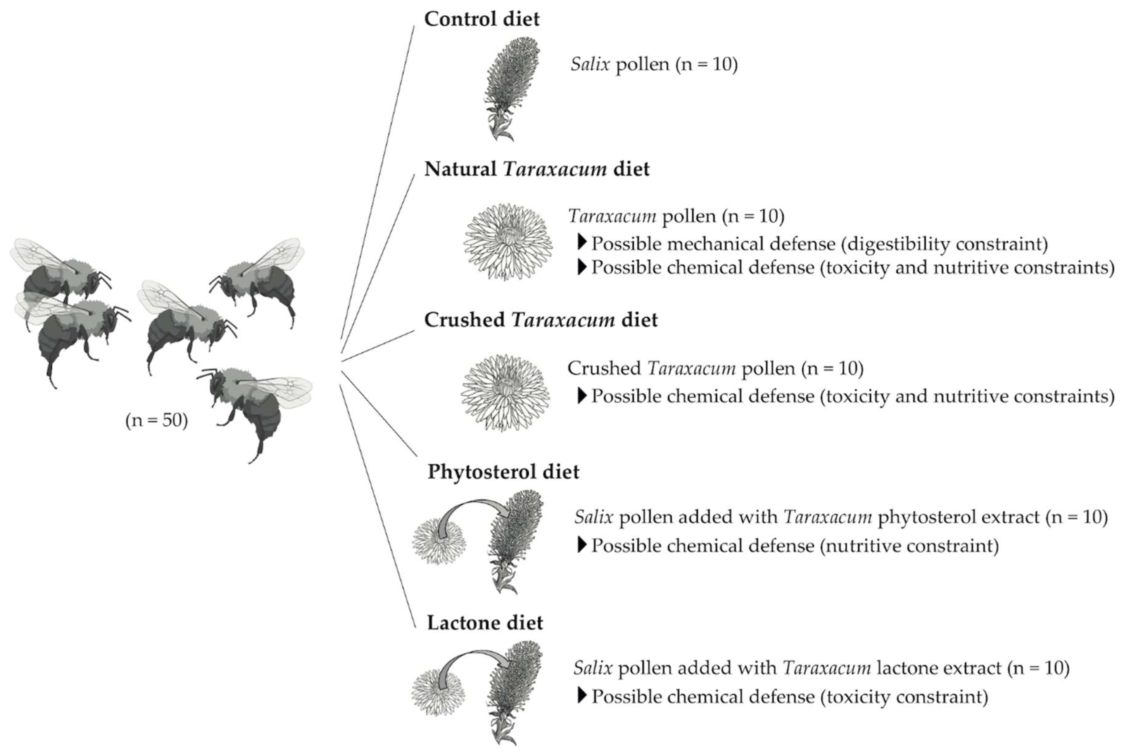 Insects 11 00304 g001 Insects 11 00304 g001