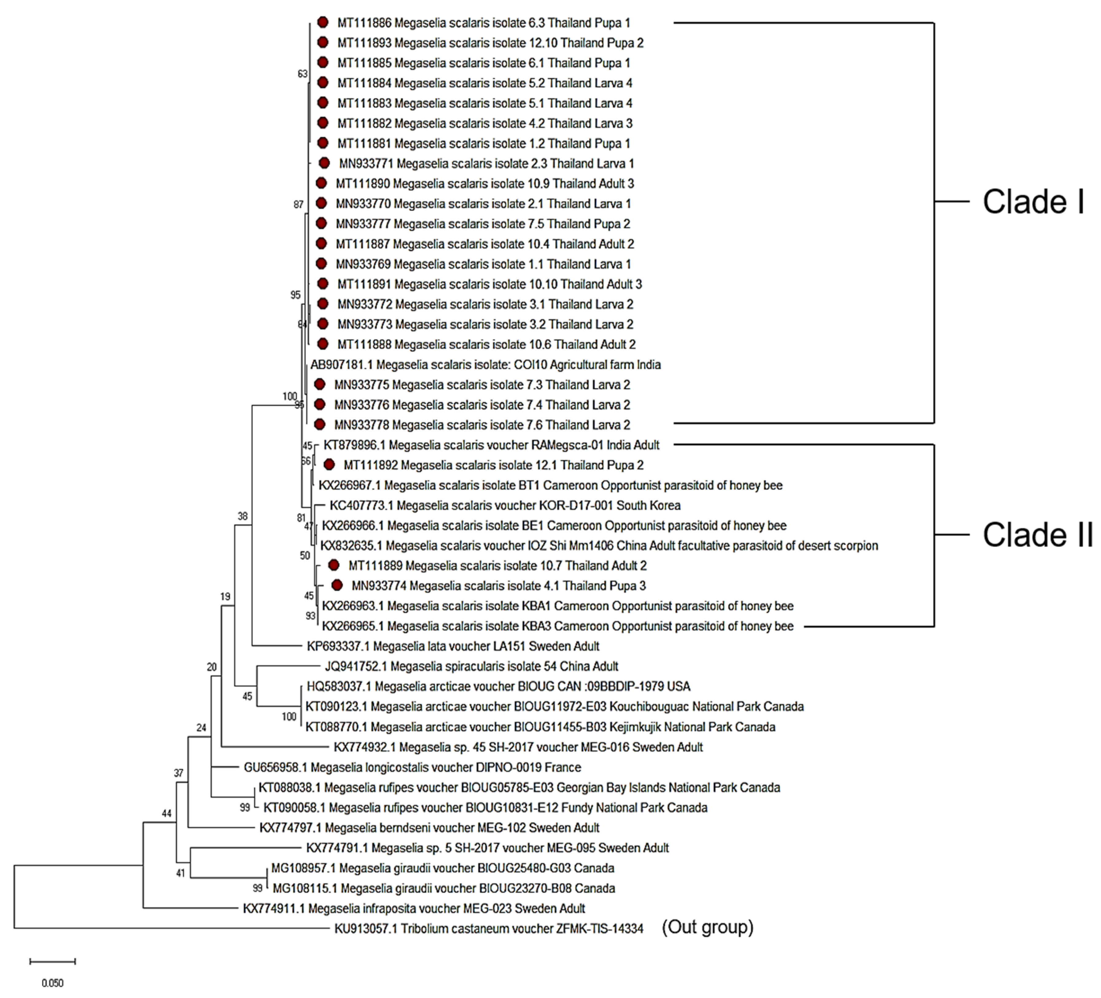 Insects 11 00318 g002 Insects 11 00318 g002