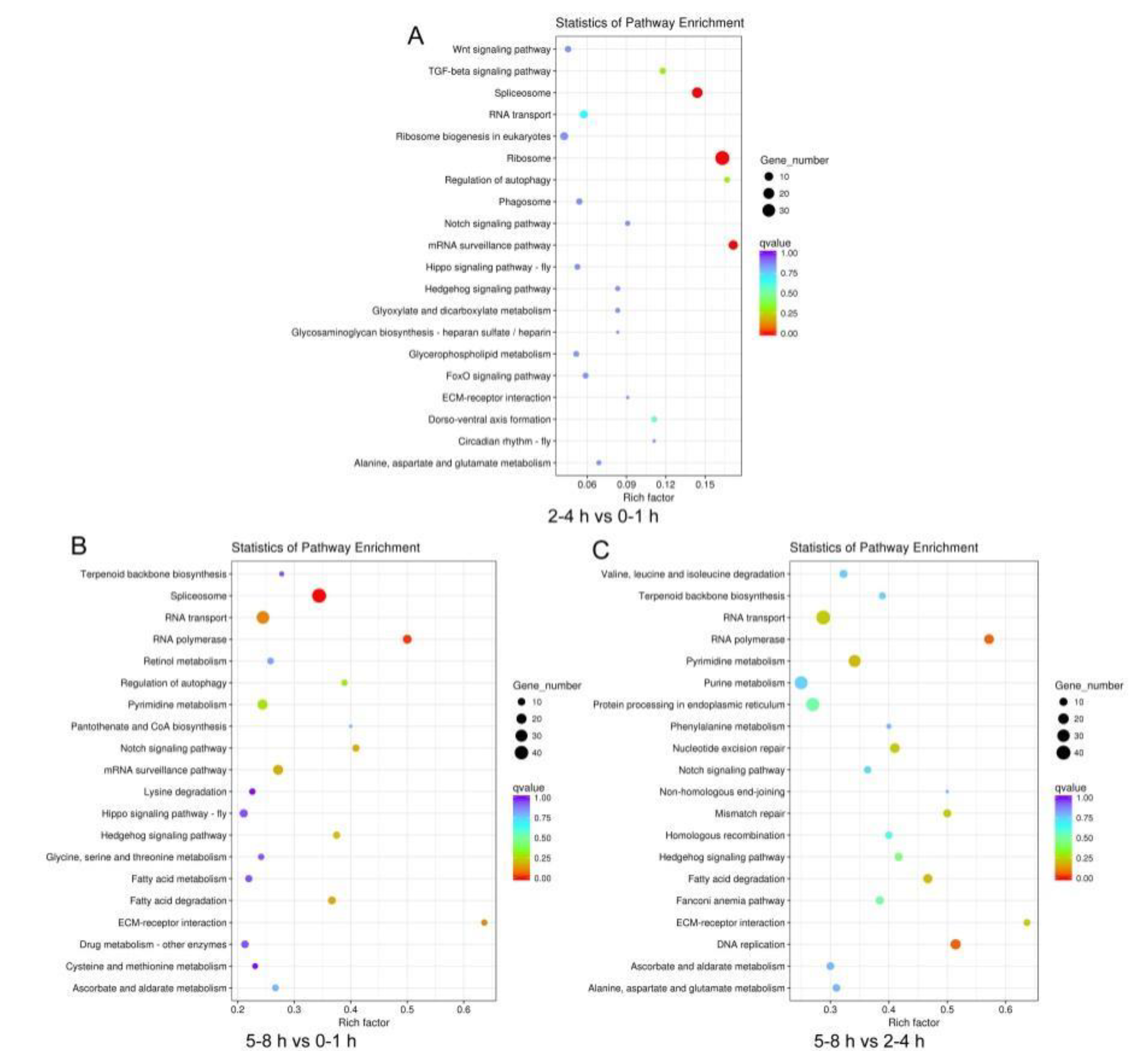 Insects 11 00323 g005