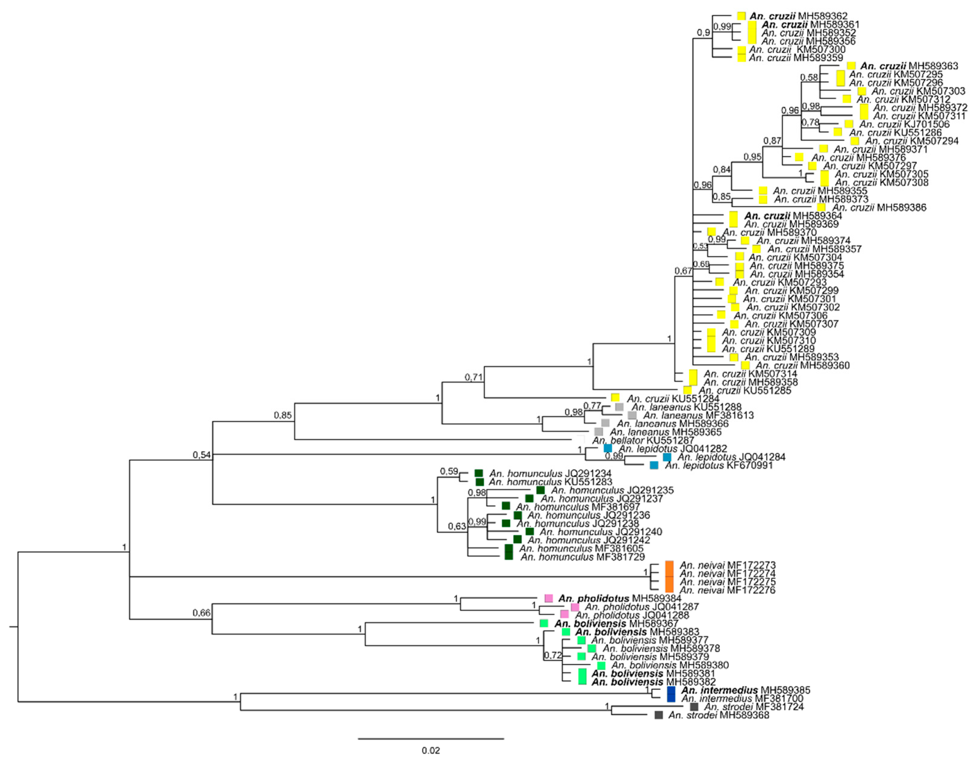 Insects 11 00324 g001
