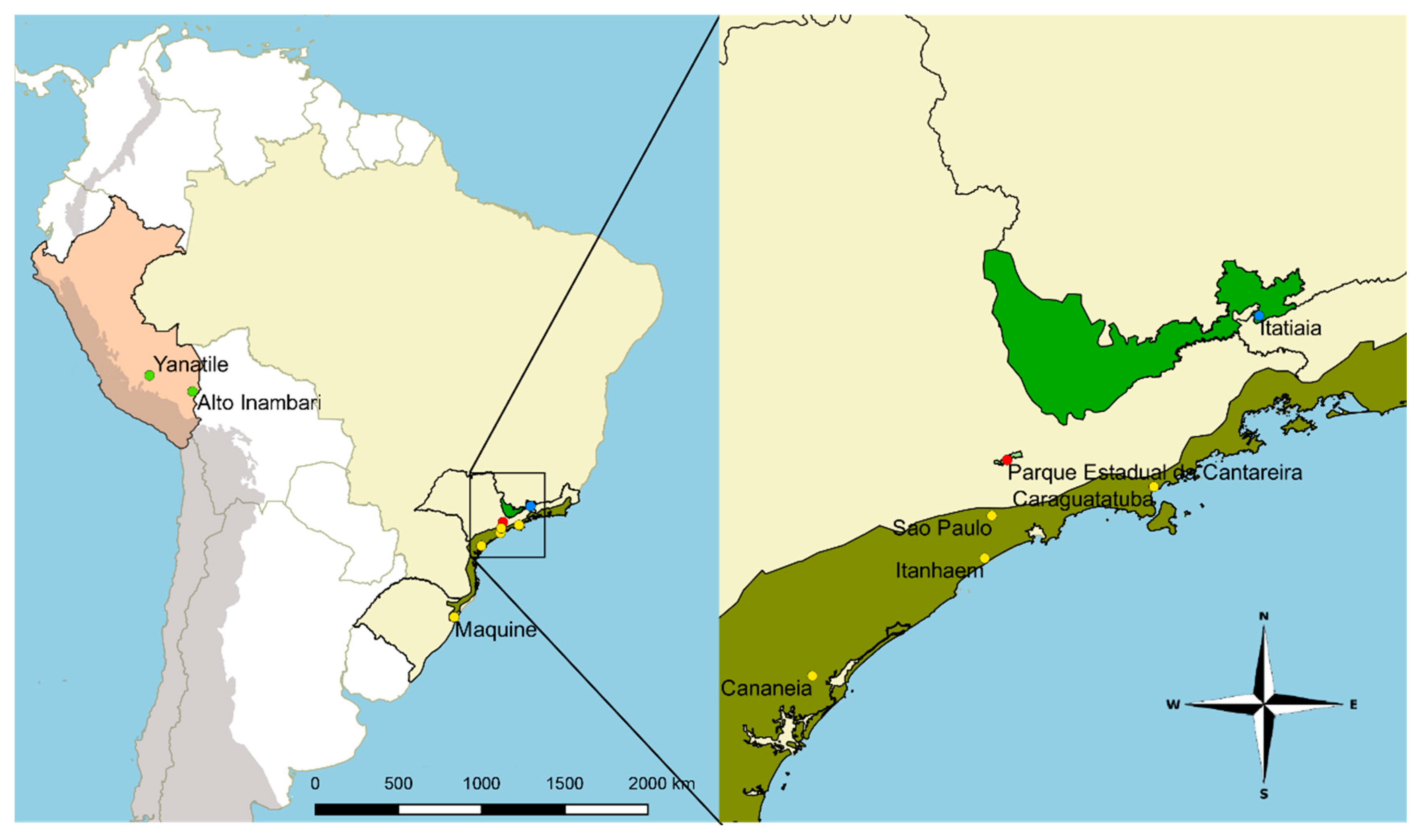 Insects 11 00324 g003