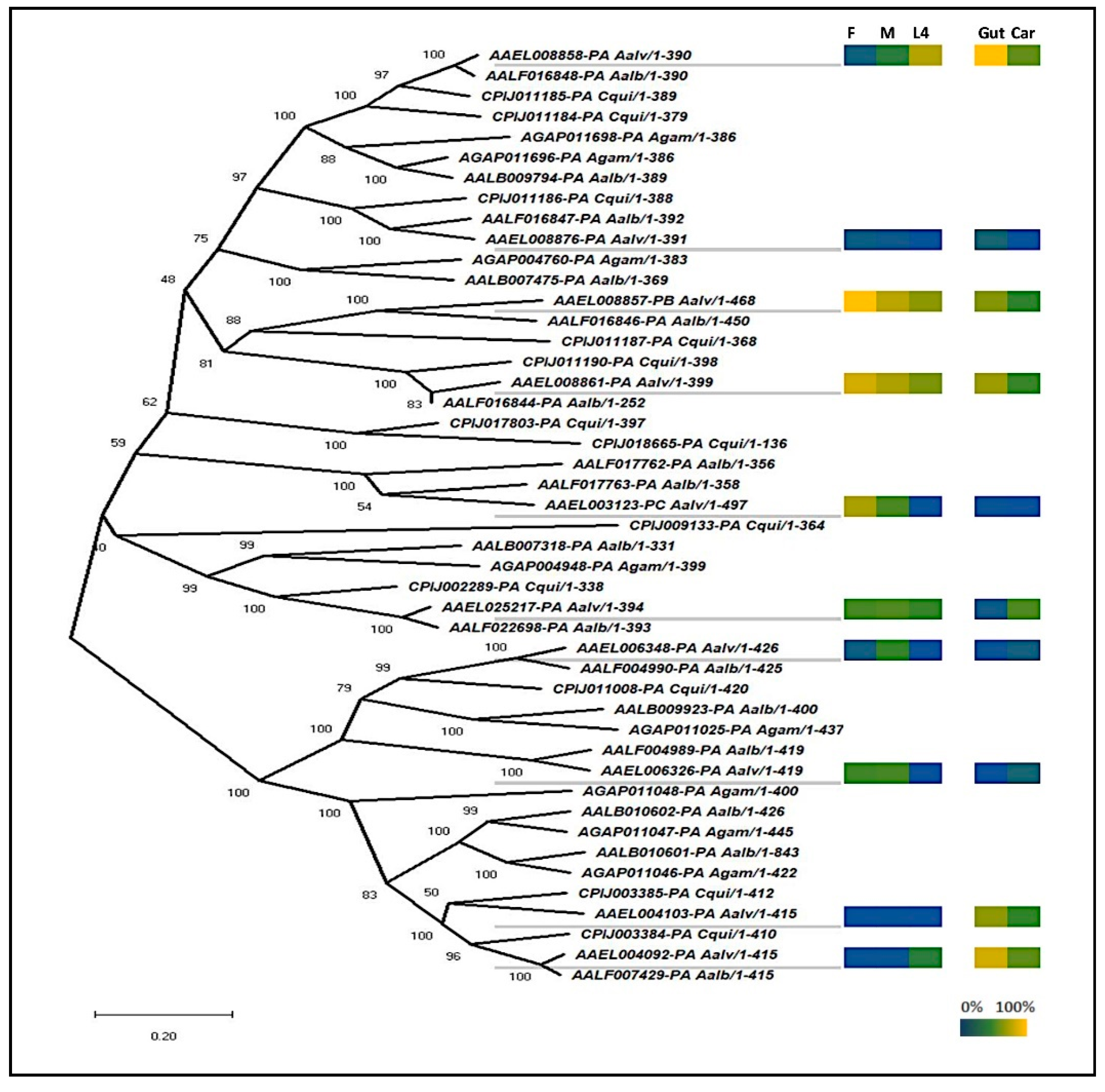 Insects 11 00327 g001