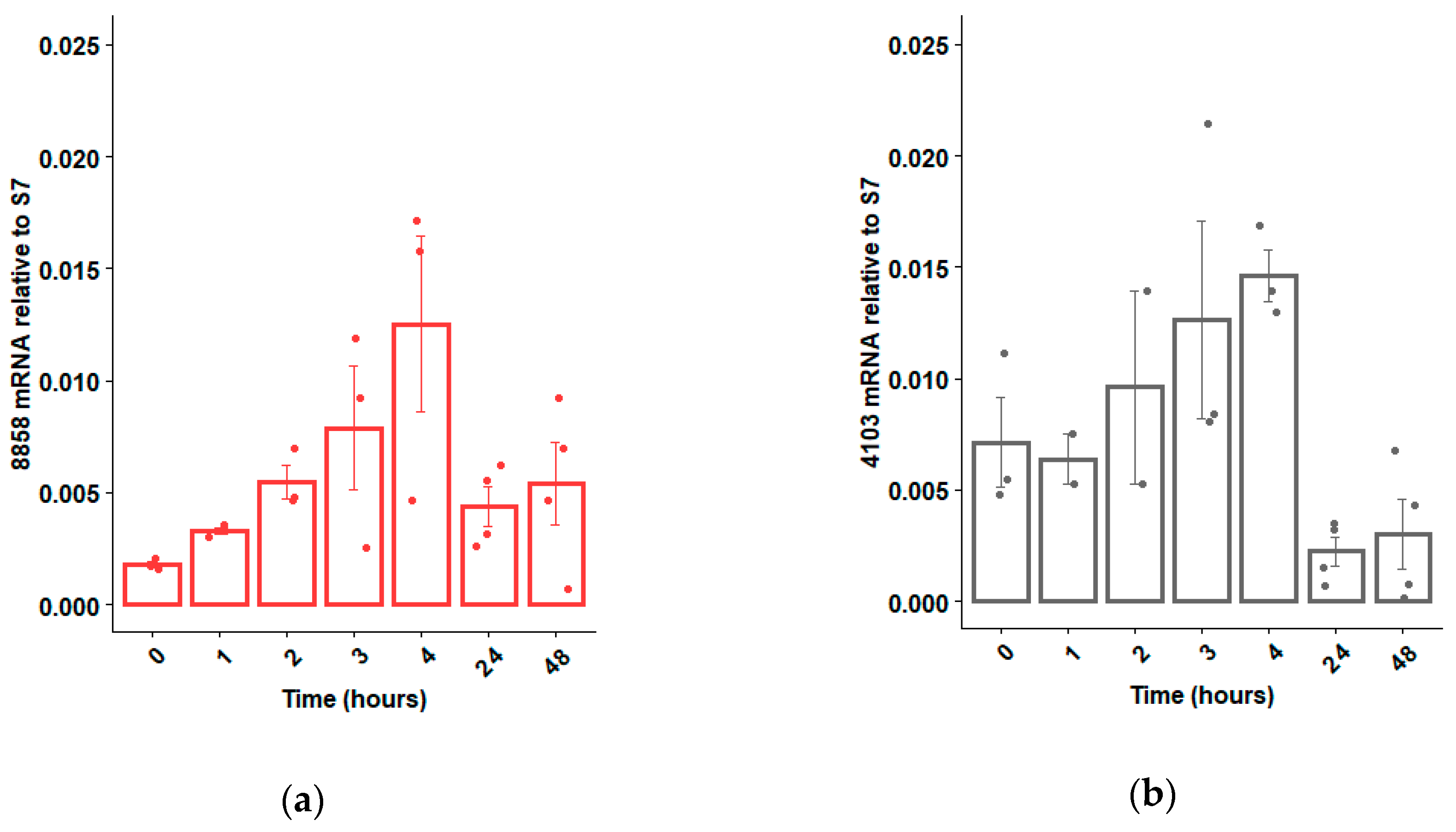 Insects 11 00327 g002
