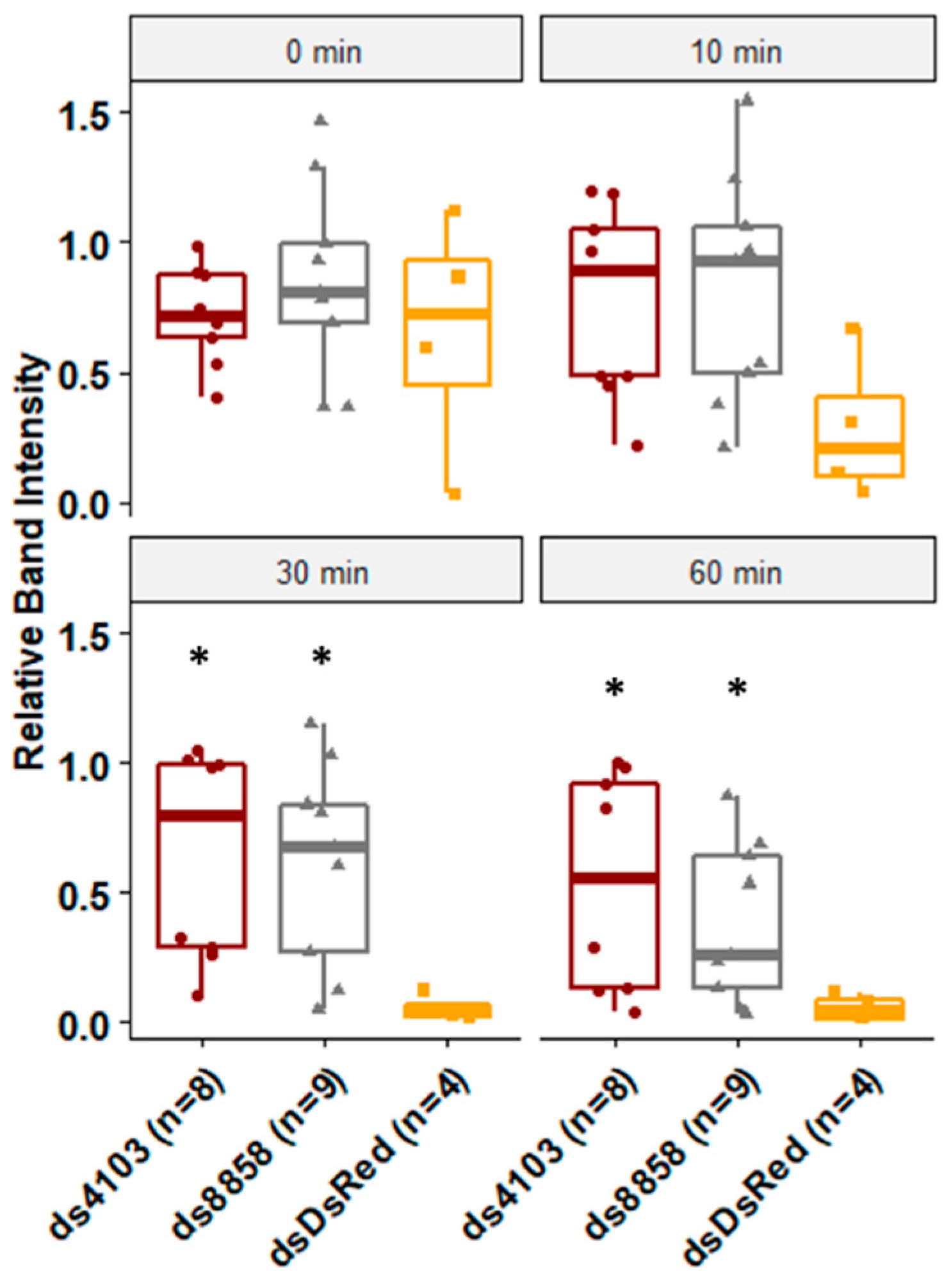 Insects 11 00327 g003