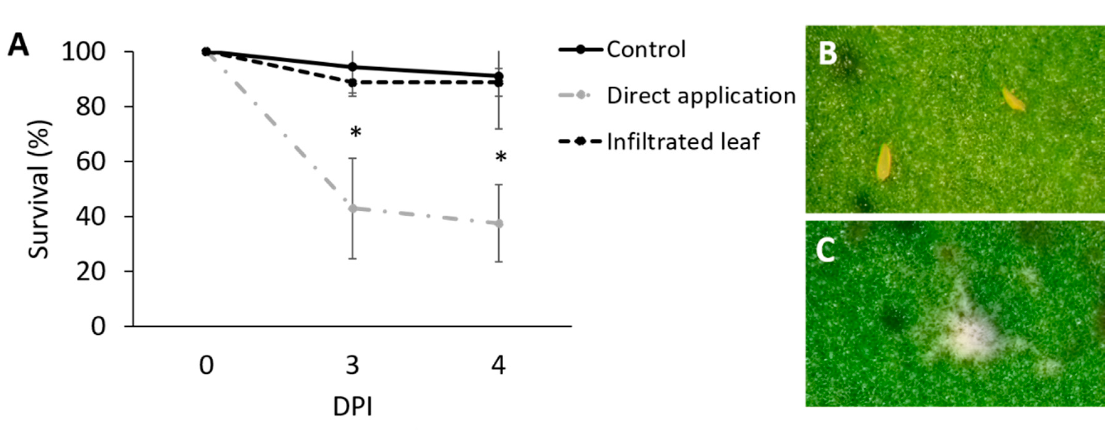 Insects 11 00330 g005